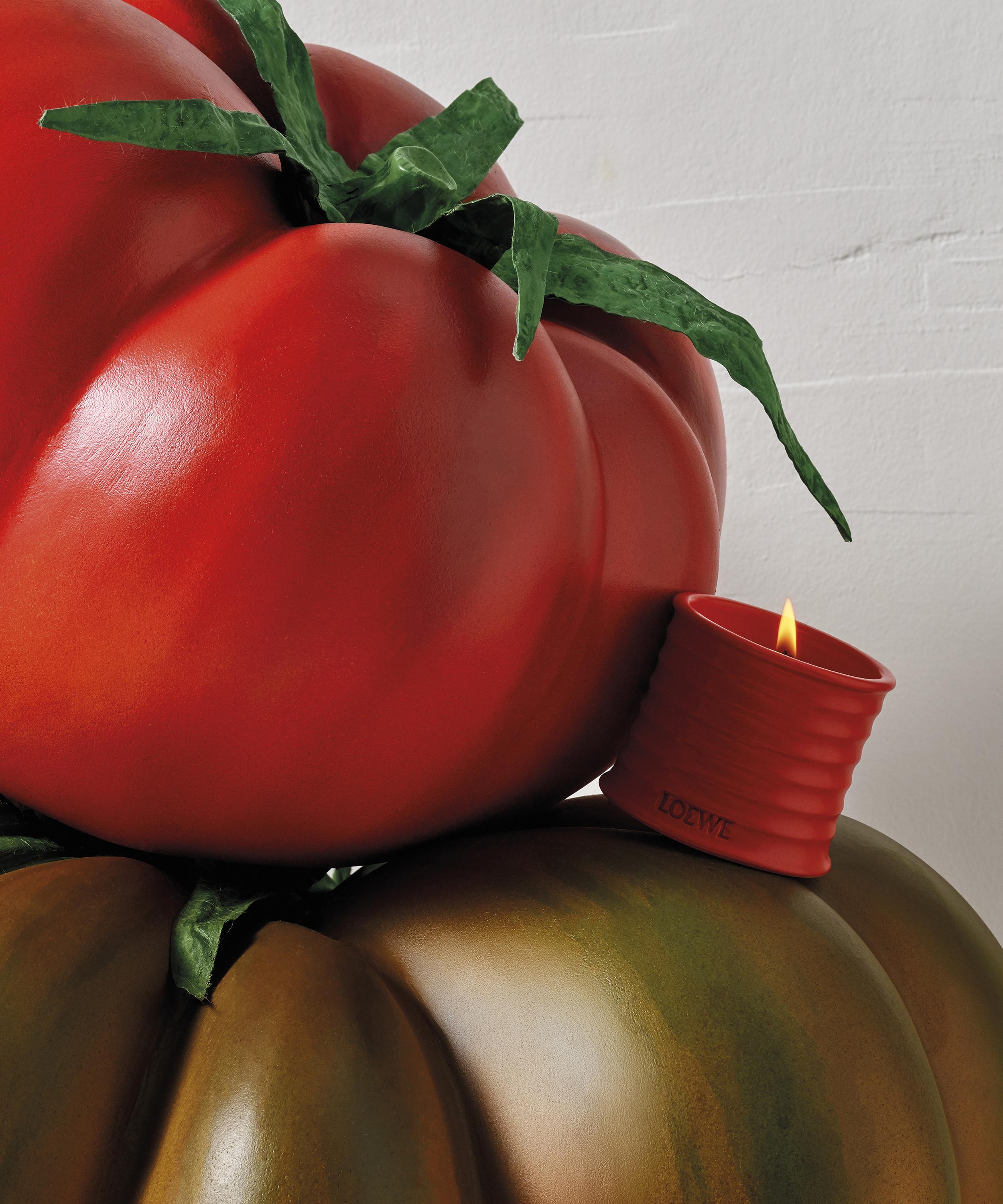 Loewe - Small Tomato Leaves Candle 170g image number 3