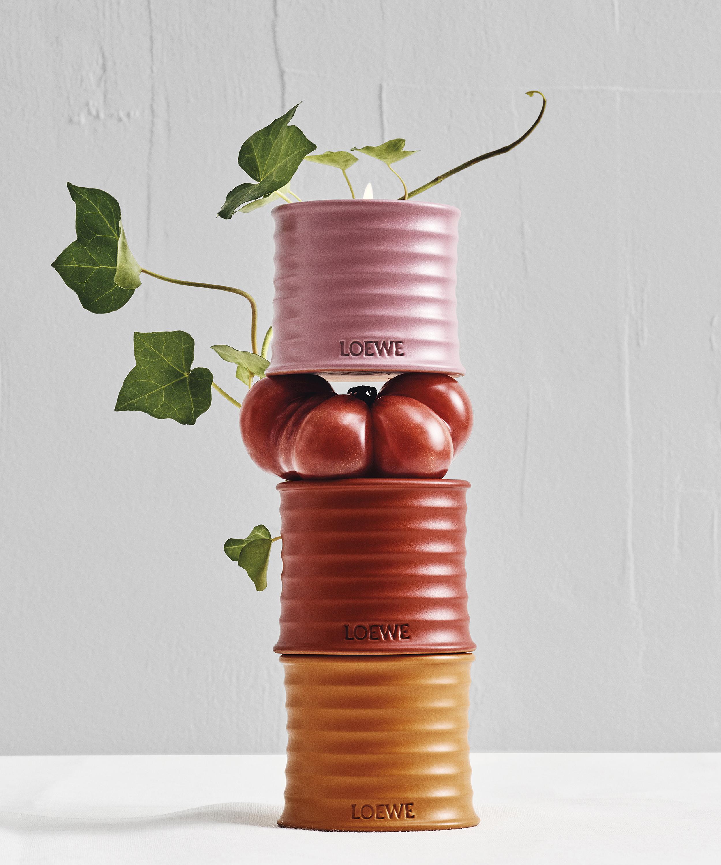 Loewe - Small Tomato Leaves Candle 170g image number 5