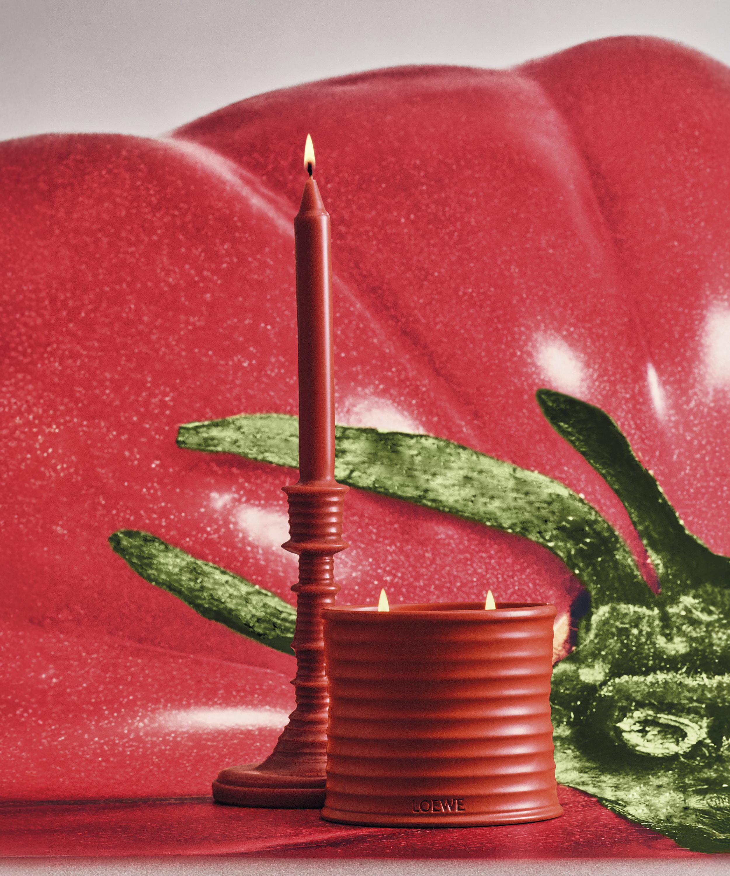 Loewe - Small Tomato Leaves Candle 170g image number 6
