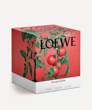 Loewe - Large Tomato Leaves Candle 2120g image number 1