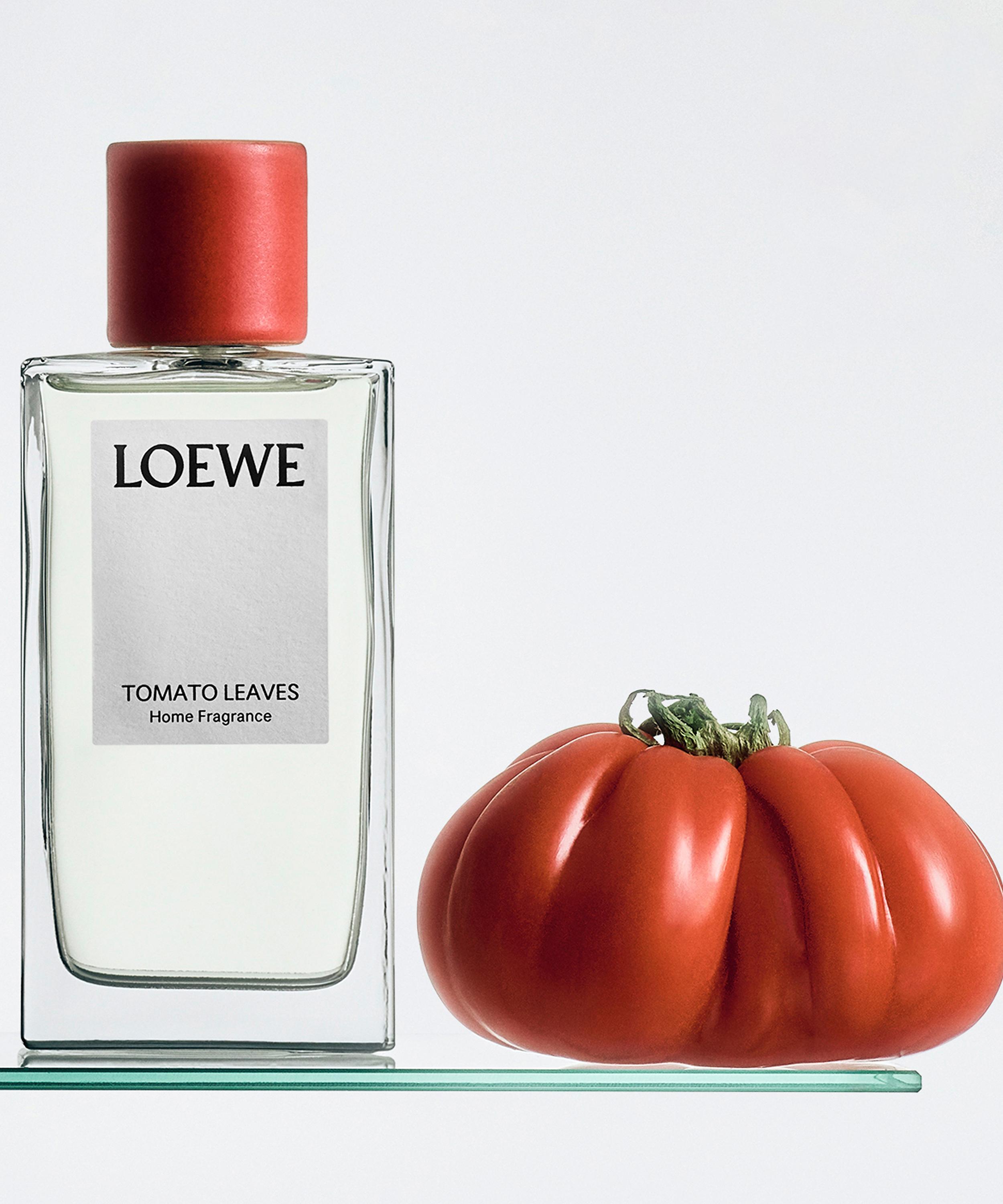 Loewe Tomato Leaves Home Fragrance 150ml | Liberty