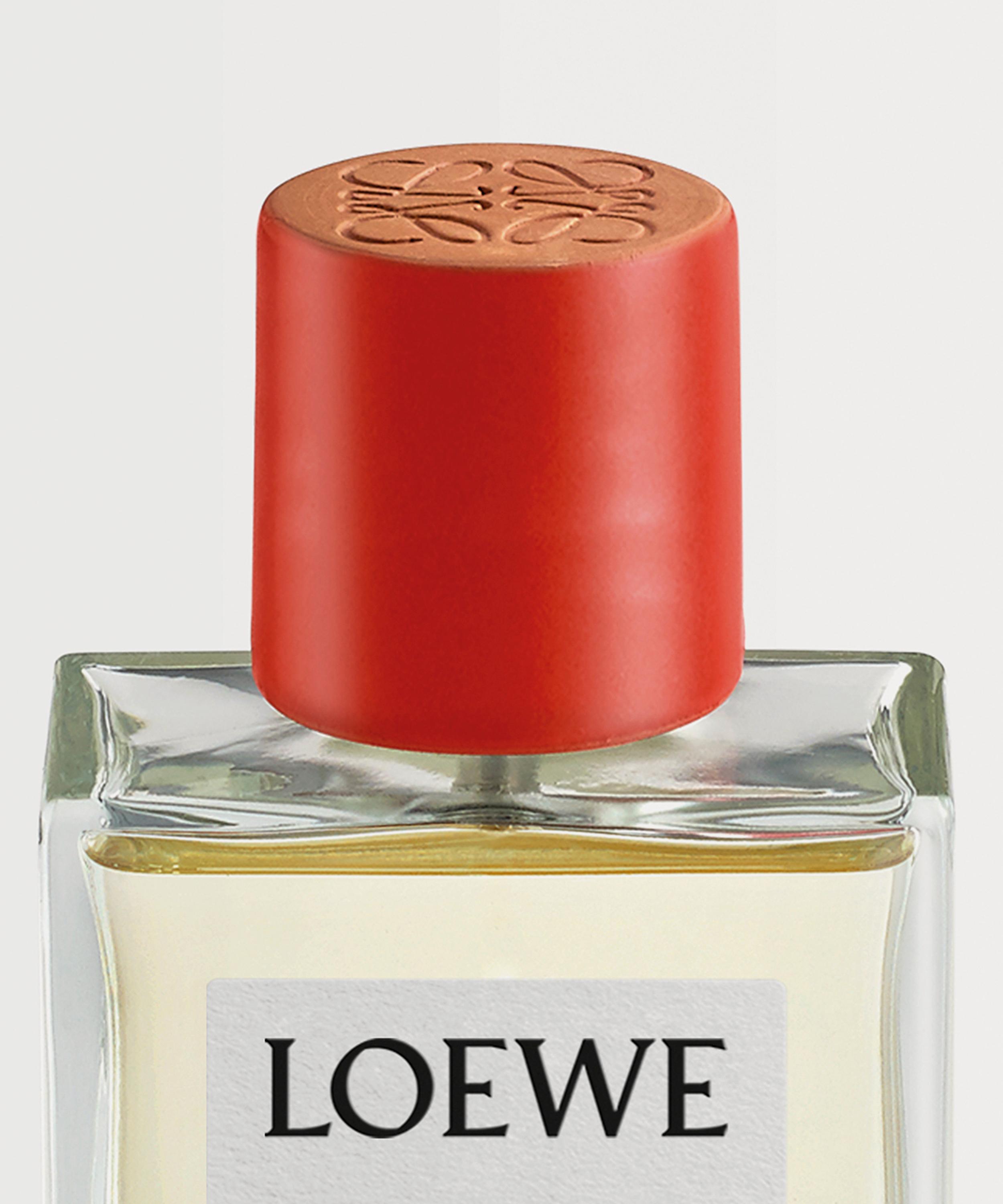 LOEWE TOMATO LEAVES ホームフレグランス 150ml Loewe Tomato Leaves Home Fragrance 150ml | Liberty