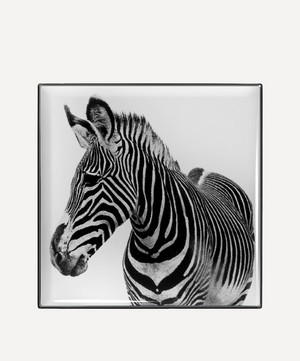 Chantecaille - Zebra Luminescent Eye Shade image number 1
