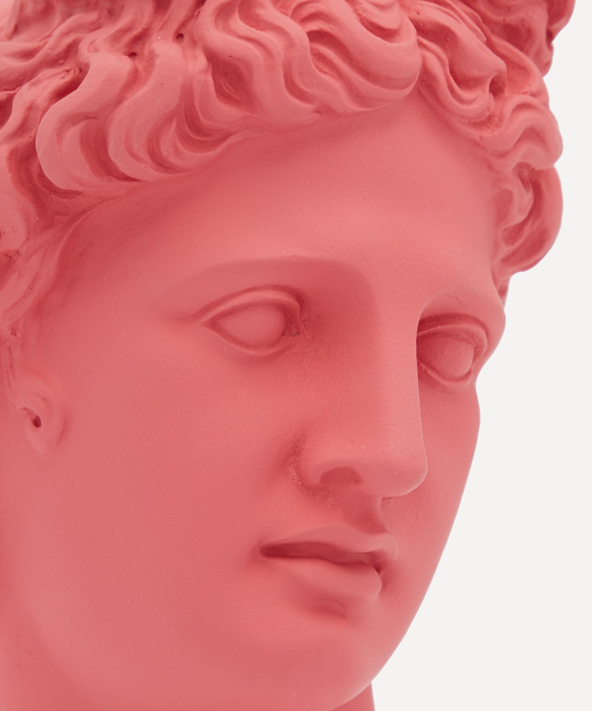 Sophia Enjoy Thinking - Medium Apollo Head image number 3