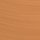 Future Skin Cushion Skincare Foundation 12g
