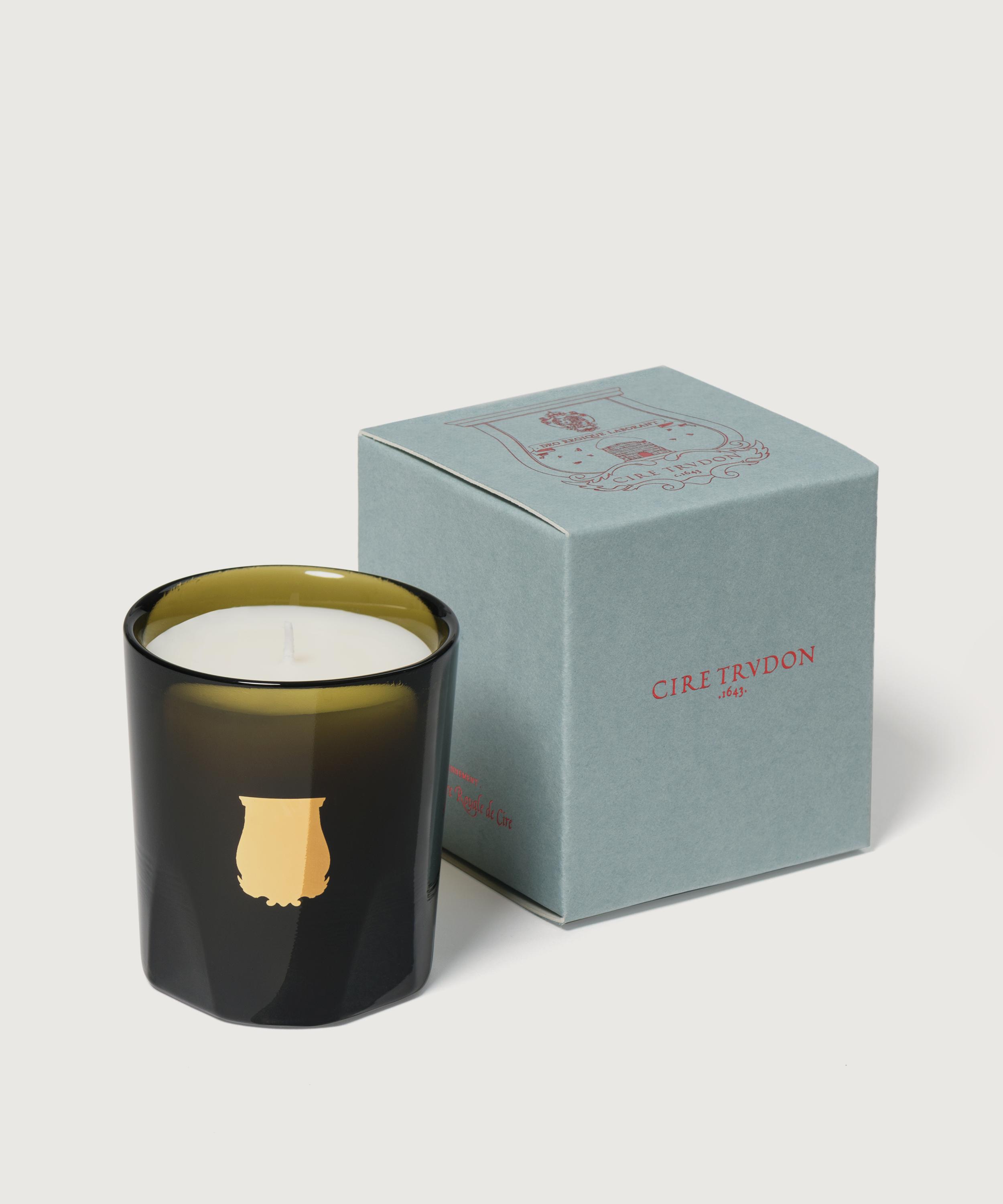 Trudon - Gabriel Scented Candle 70g image number 1