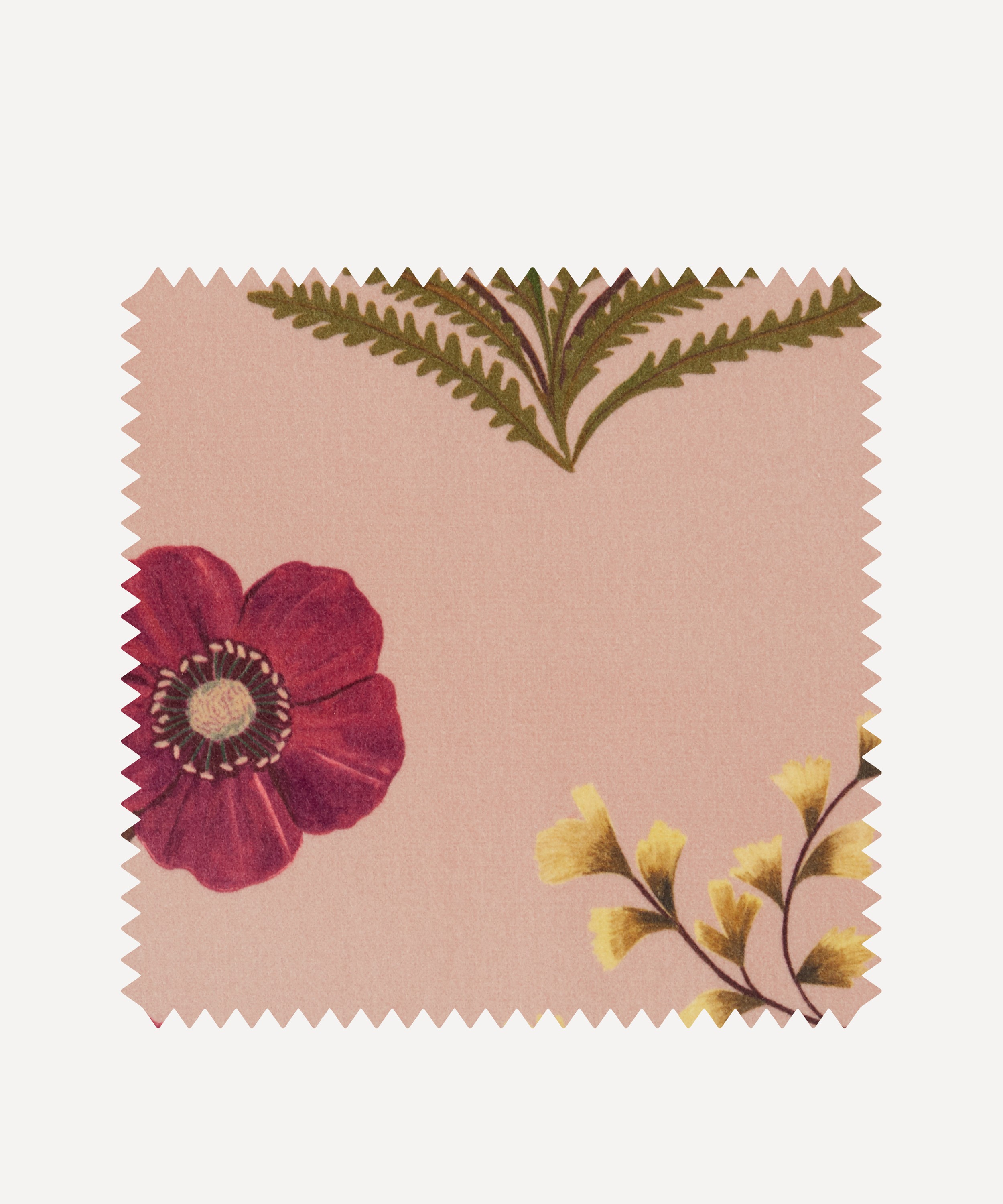 Liberty Interiors - Fabric Swatch - Botanical Flora Wellington Velvet in Lacquer image number 0