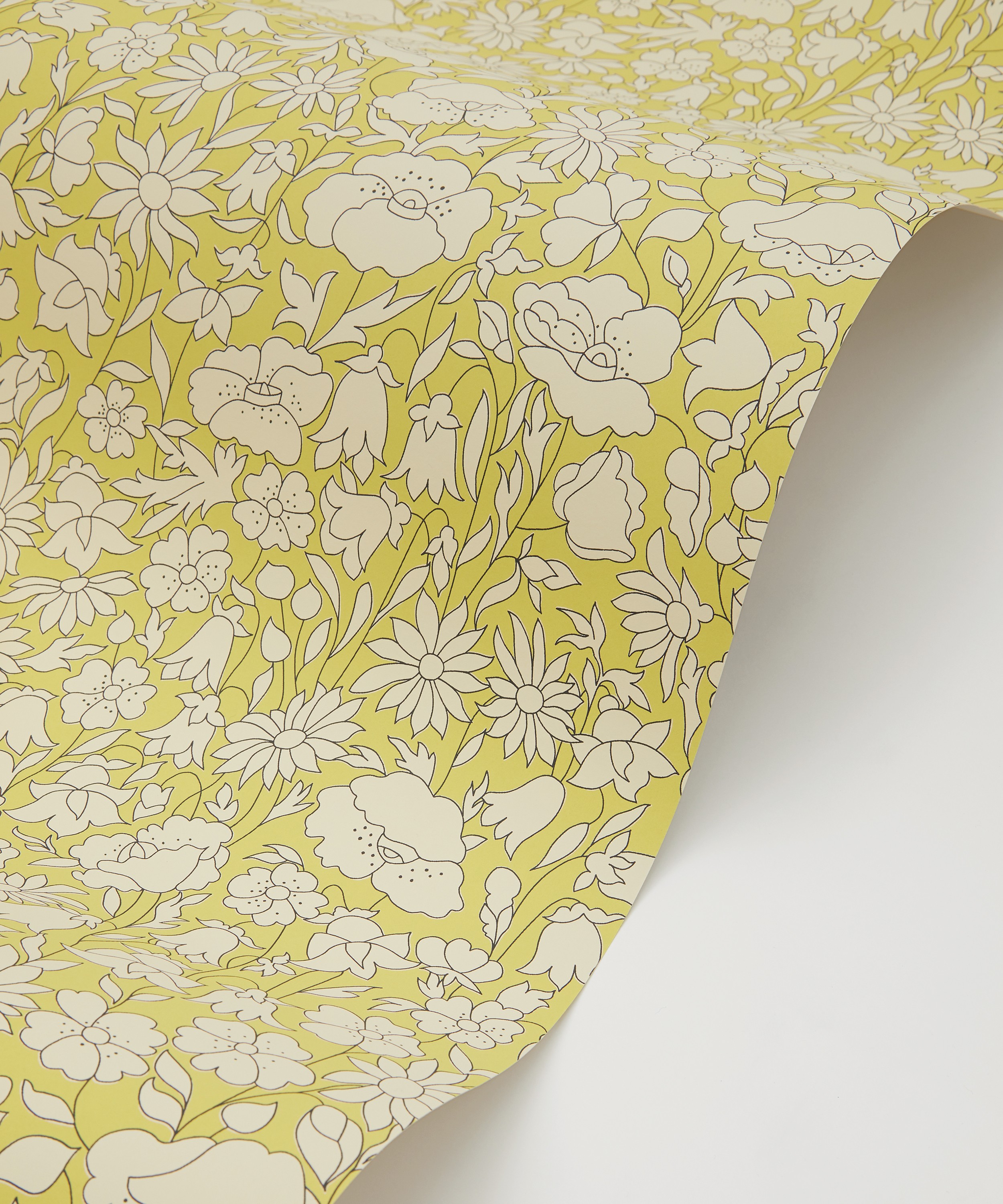 Liberty Interiors - Poppy Meadow Wallpaper in Fennel image number 2