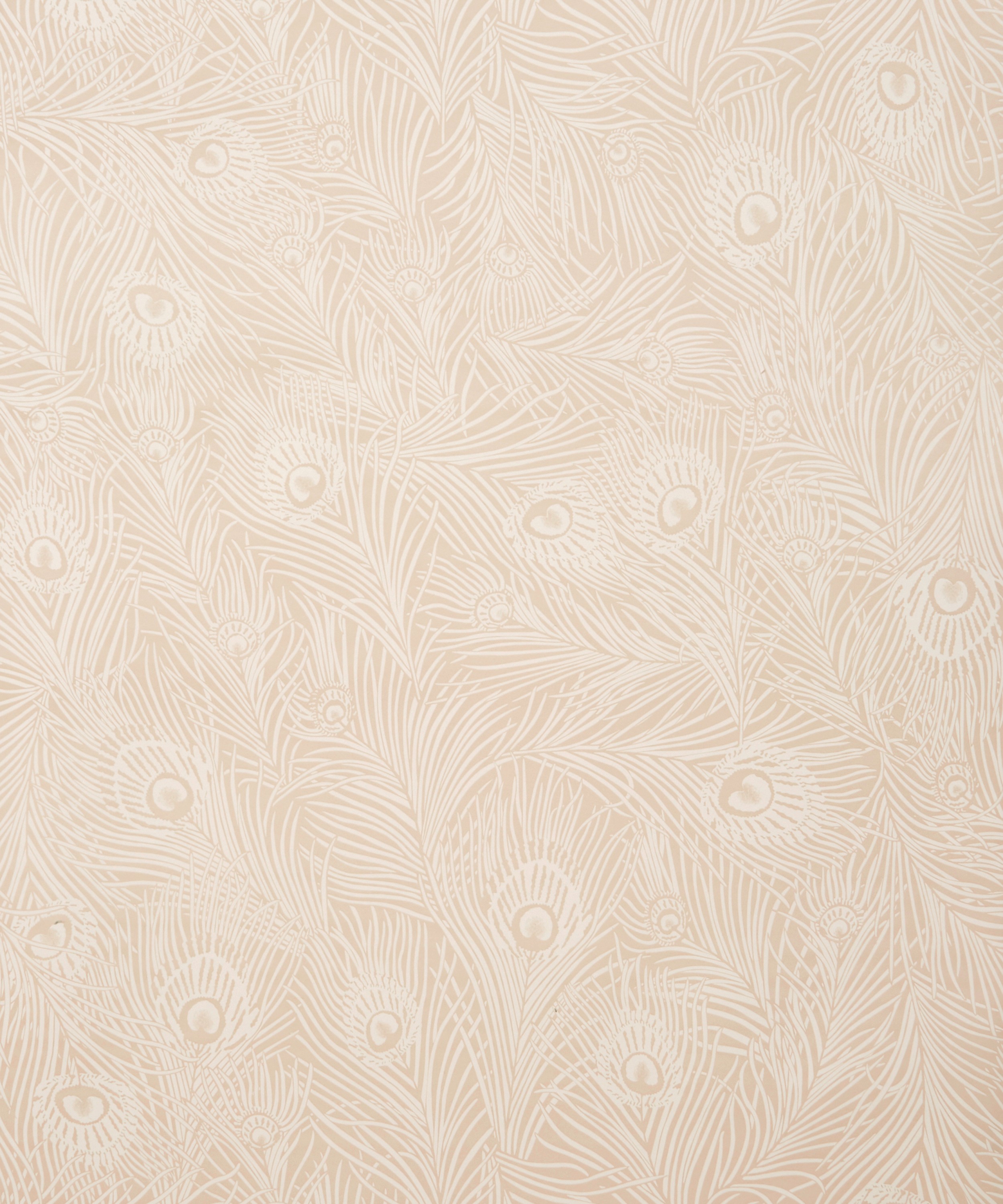 Liberty Interiors - Hera Plume Wallpaper in Ointment image number 3