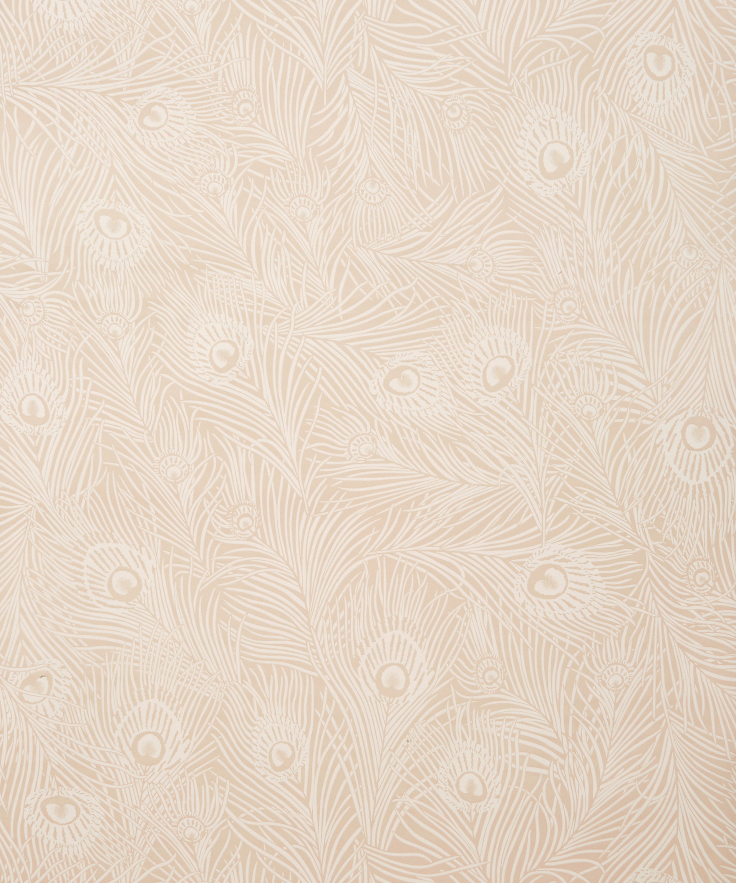 Liberty Interiors - Hera Plume Wallpaper in Ointment image number 3