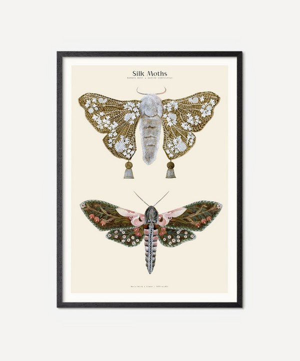 PSTR Studio - Unframed Silk Moths No.1 Print image number null