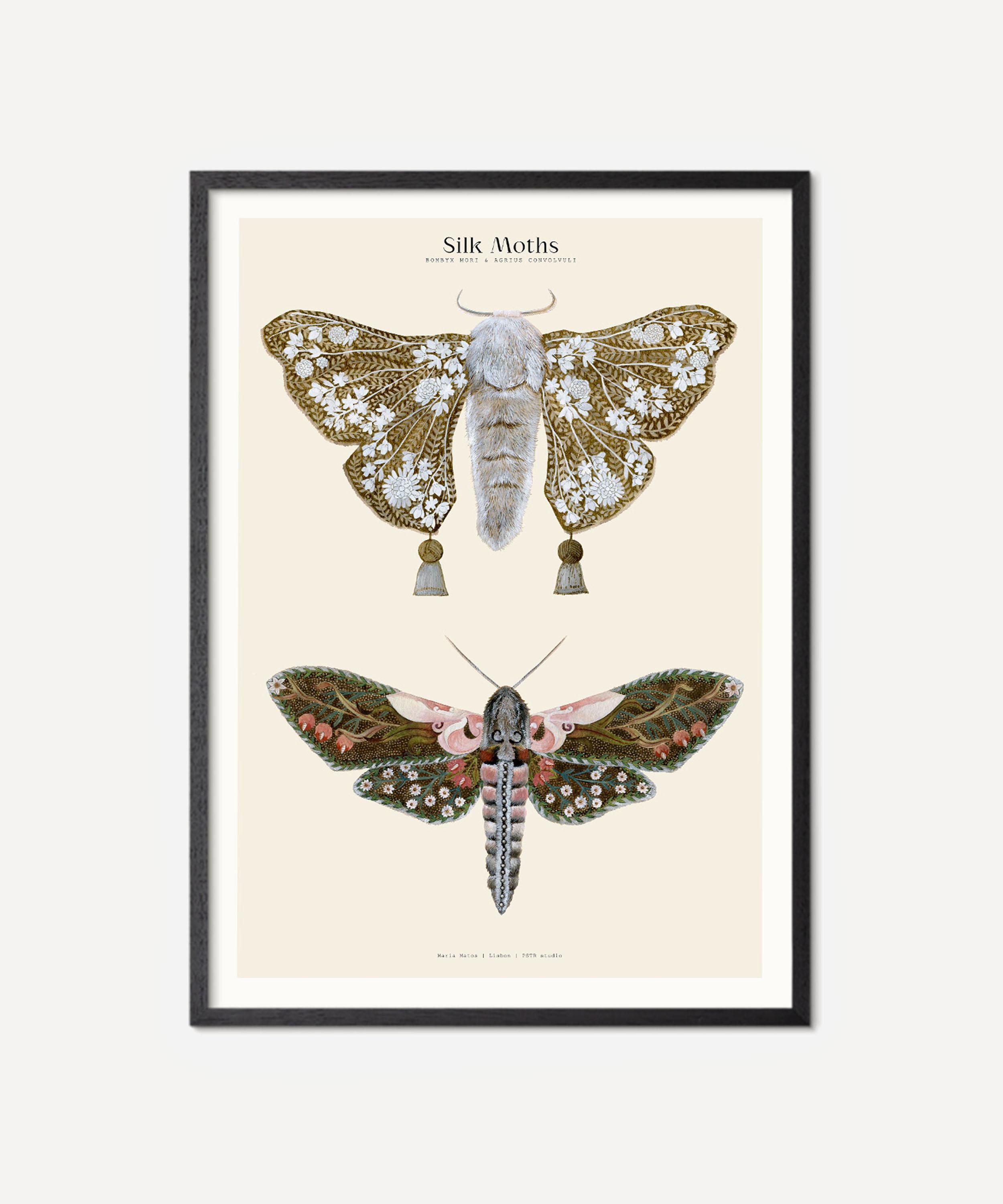 PSTR Studio - Unframed Silk Moths No.1 Print image number 0