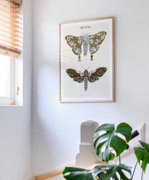 PSTR Studio - Unframed Silk Moths No.1 Print image number 1