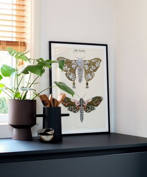 PSTR Studio - Unframed Silk Moths No.1 Print image number 4