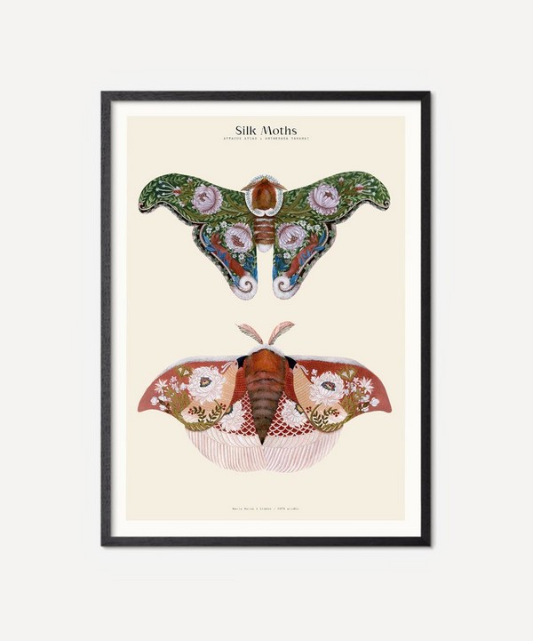 PSTR Studio - Unframed Silk Moths No.2 Print