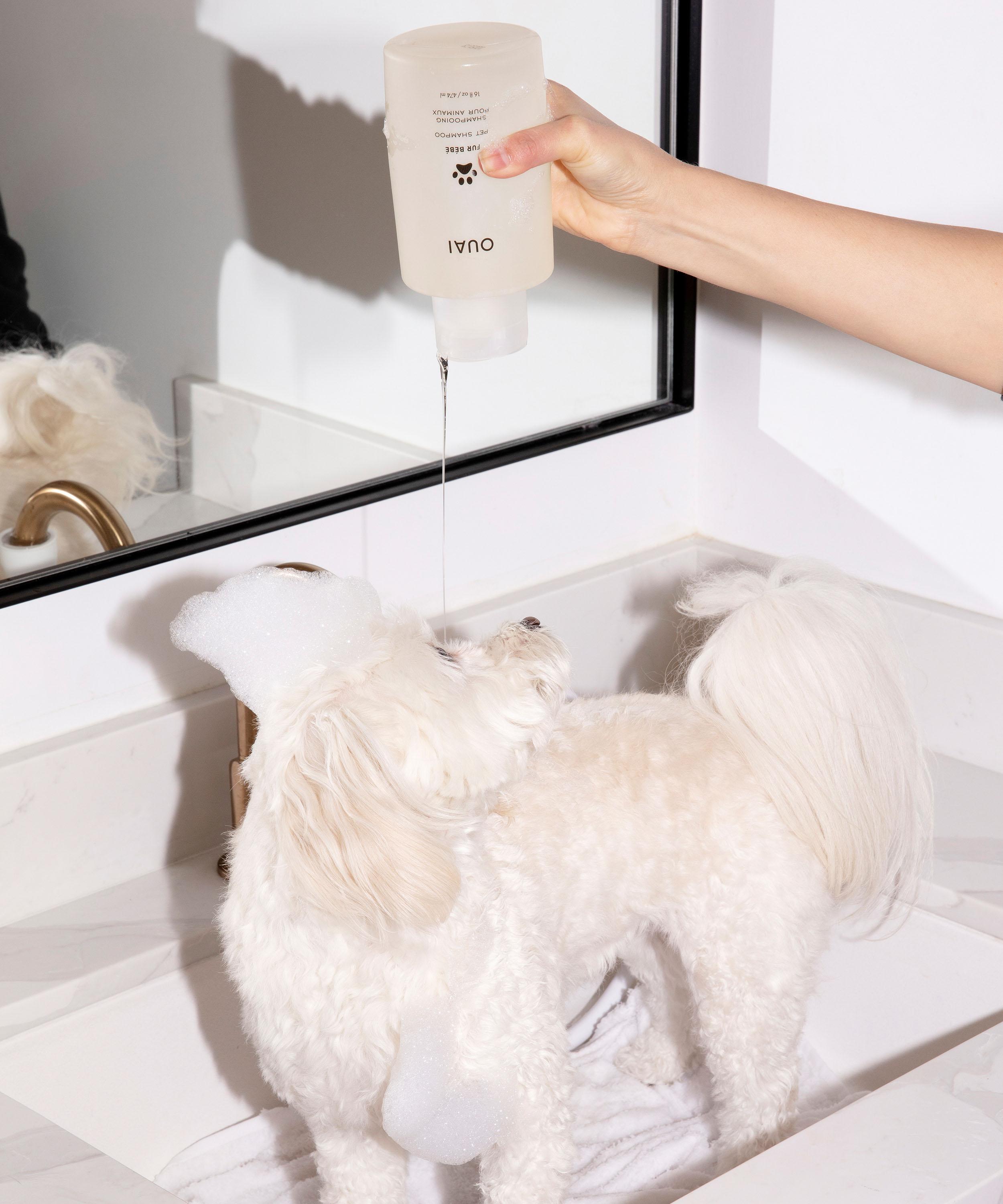 Ouai dog shampoo sale