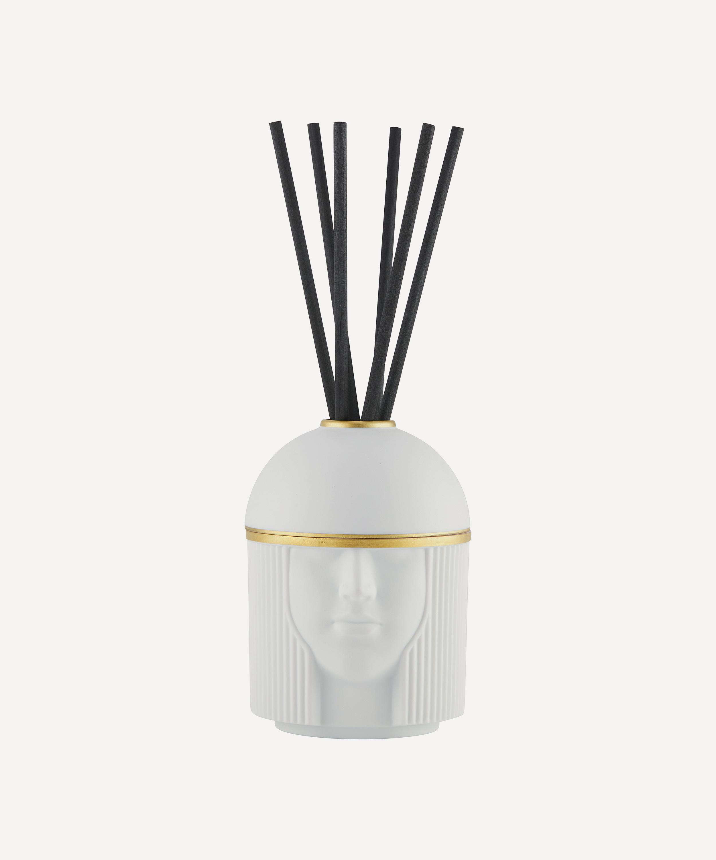 Ginori 1735 - L’Amazzone Black Stone Diffuser 300ml image number 0