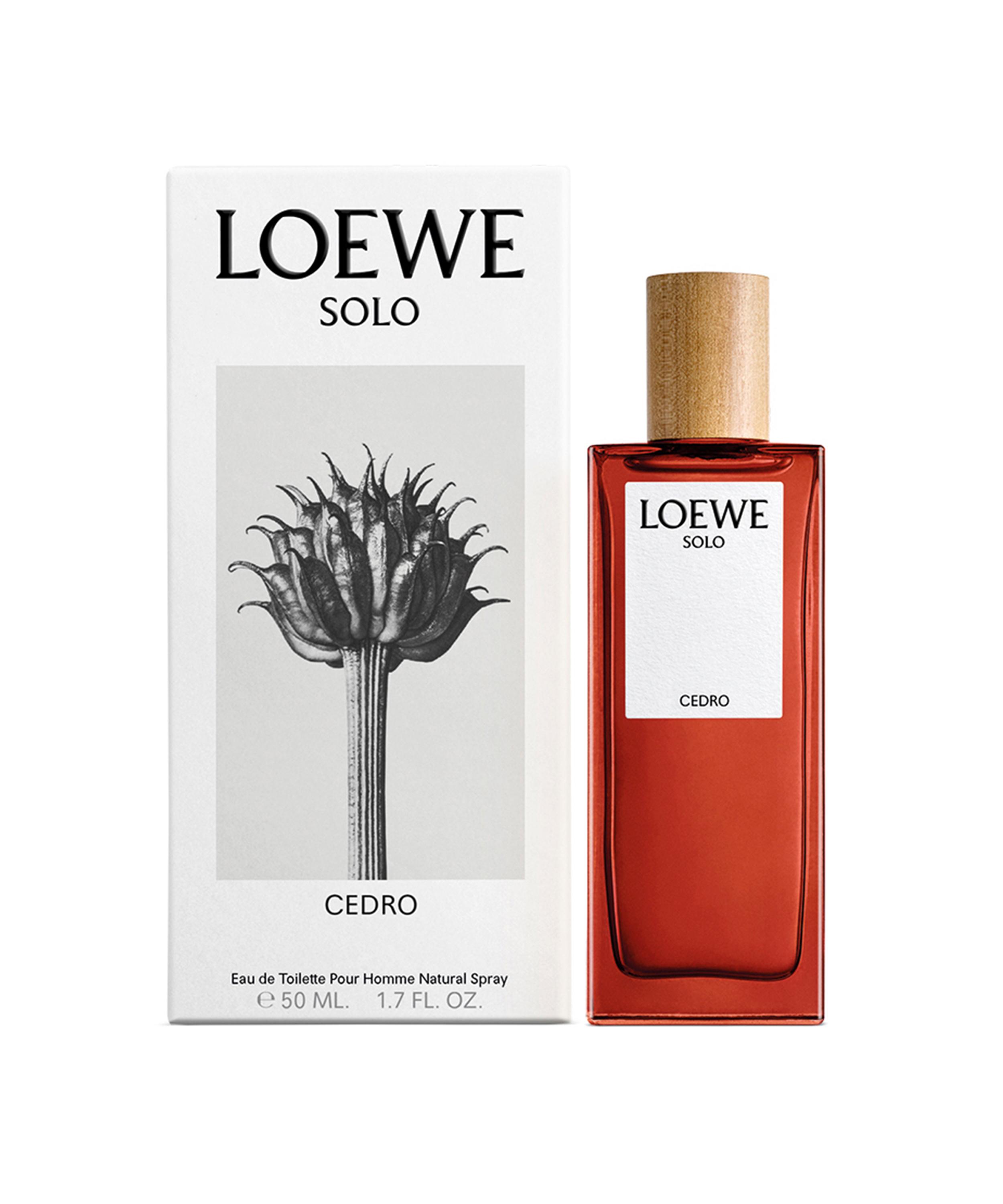 Solo cedro loewe sale