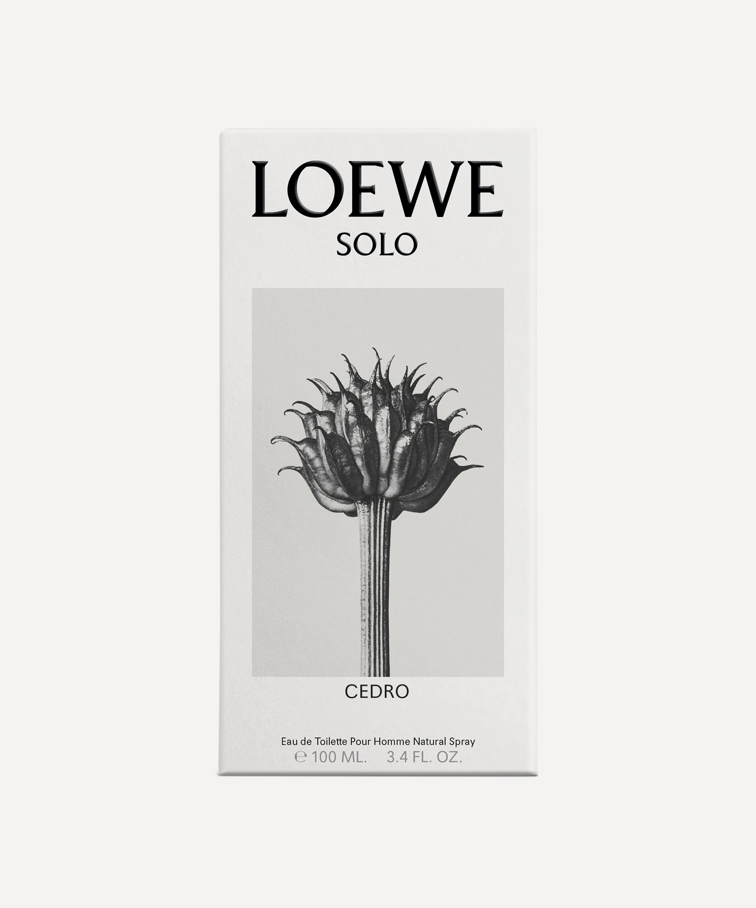 Cedro solo loewe hotsell