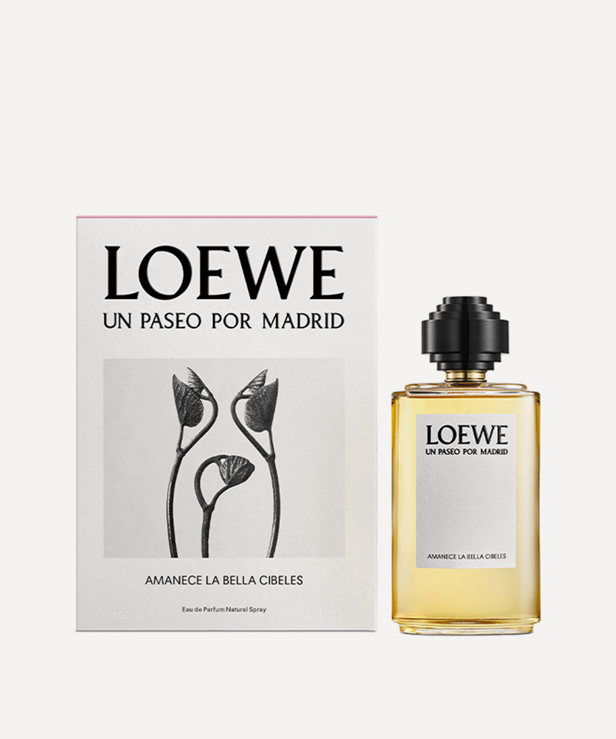 Essence loewe outlet perfume