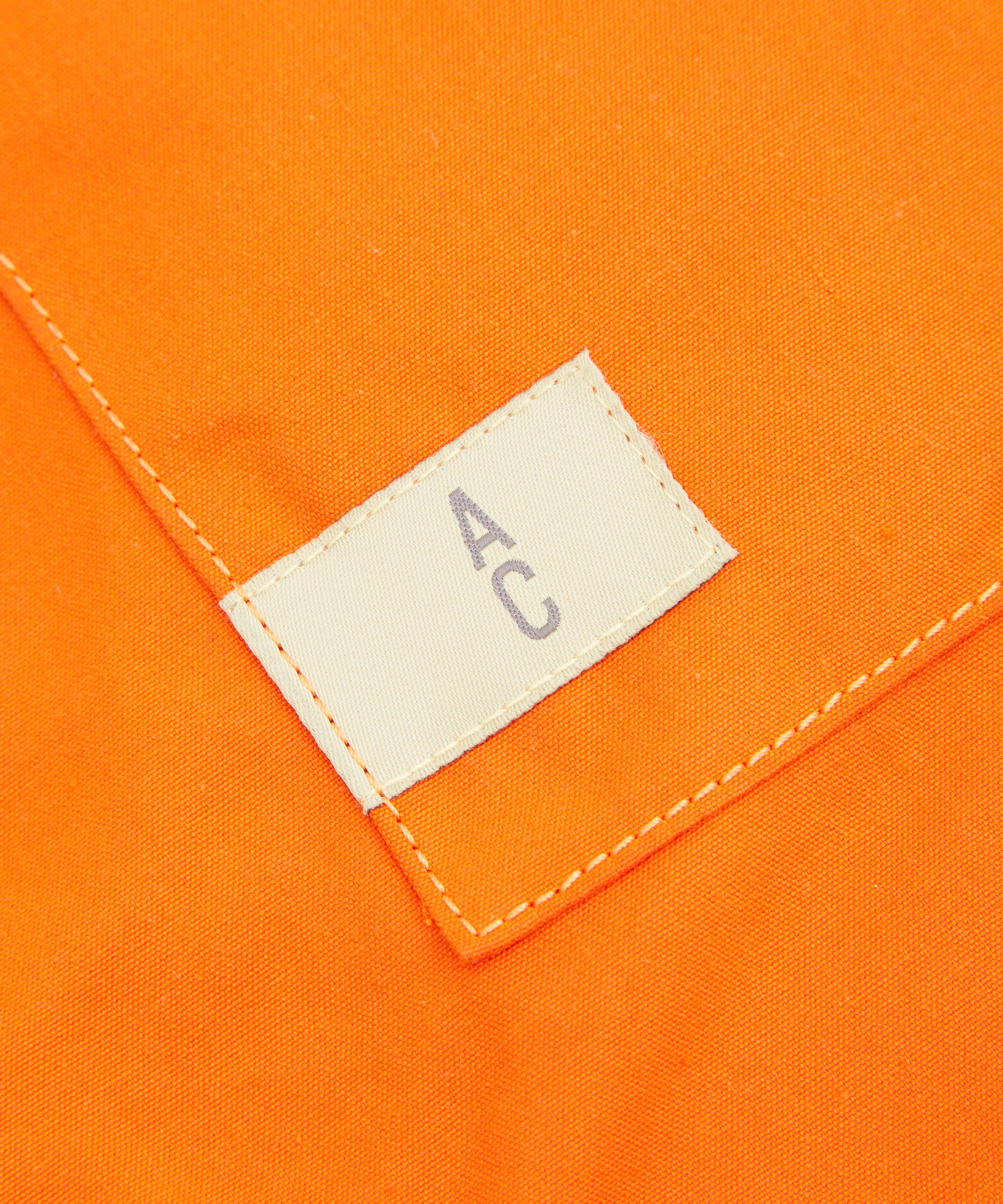 Ally Capellino - Patrick Canvas Buckle Backpack image number 3