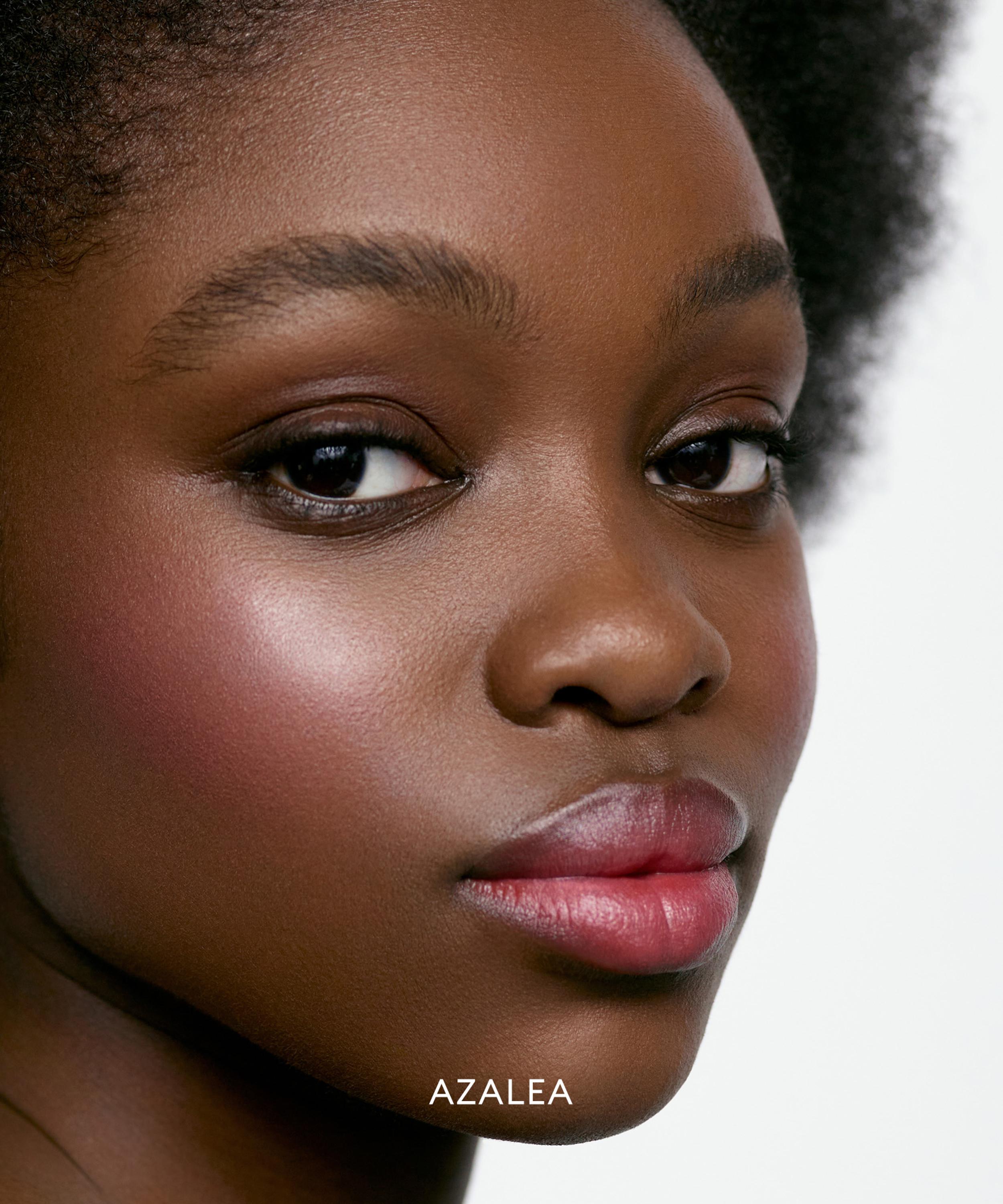 Rose Inc - Cream Blush Refillable Cheek & Lip Colour 4.5g image number 2