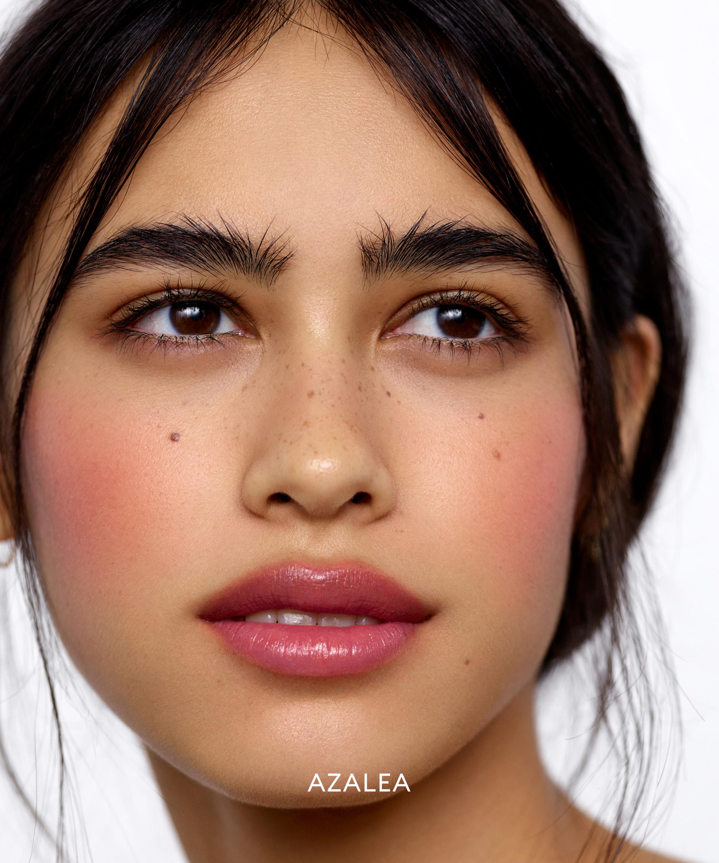 Rose Inc - Cream Blush Refillable Cheek & Lip Colour 4.5g image number 3