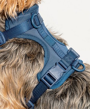 Wild One - Medium Dog Harness image number 2