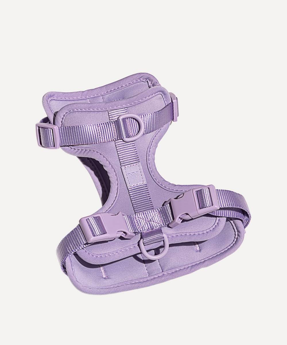 Wild One - Small Dog Harness