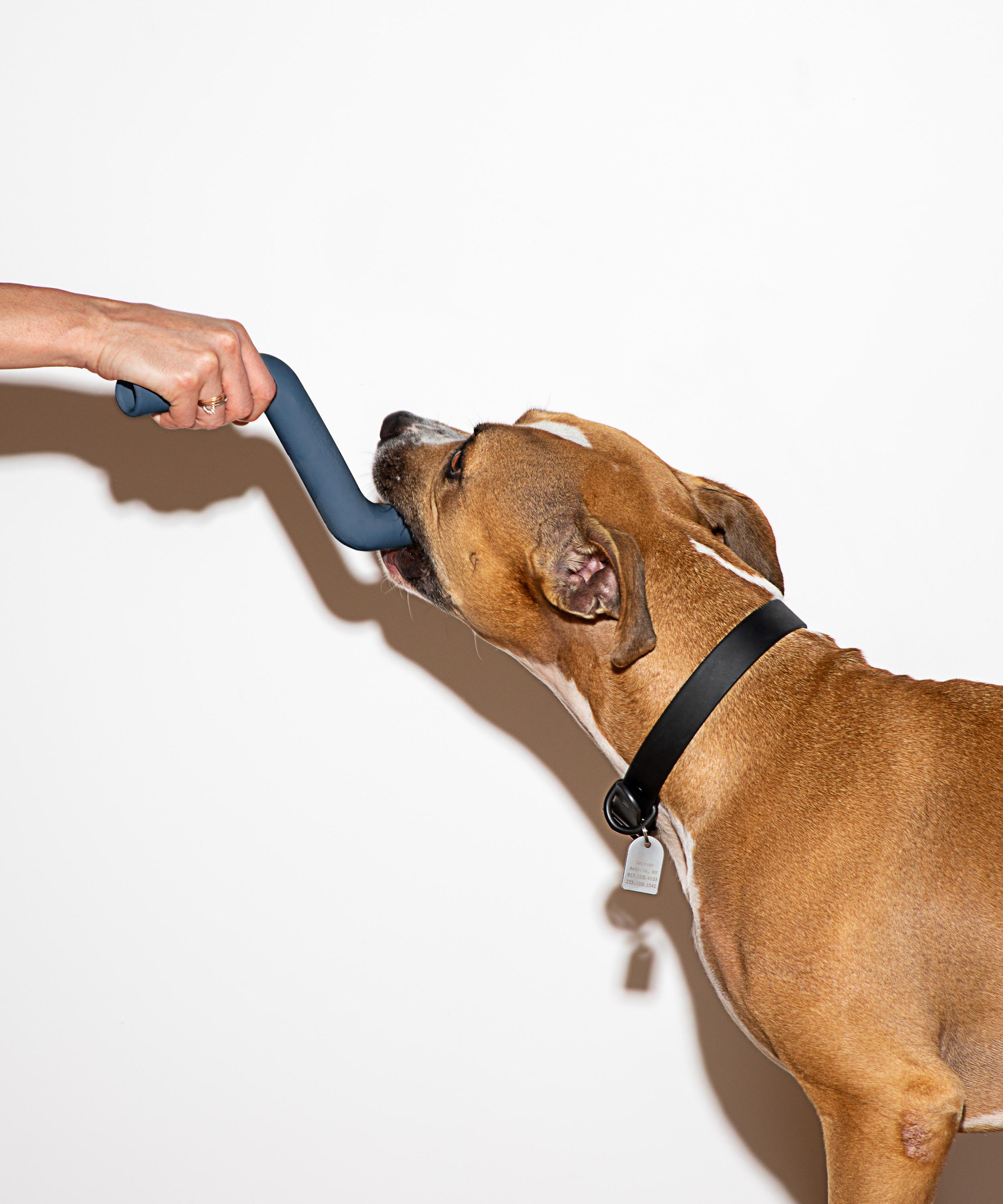 Wild One - Bolt Bite Dog Toy image number 1