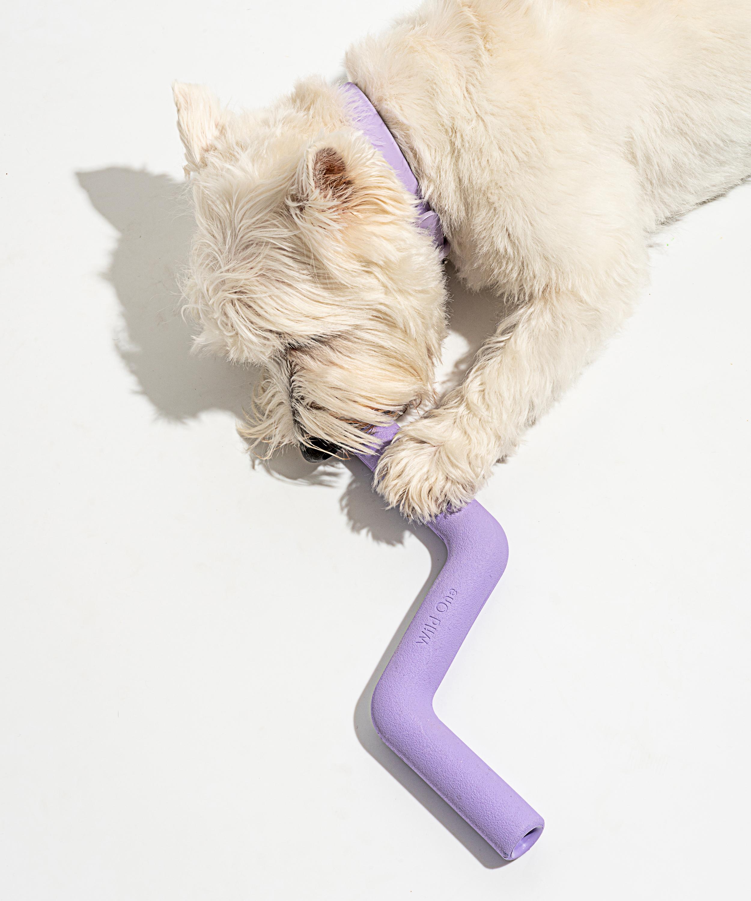 Wild One - Bolt Bite Dog Toy image number 1