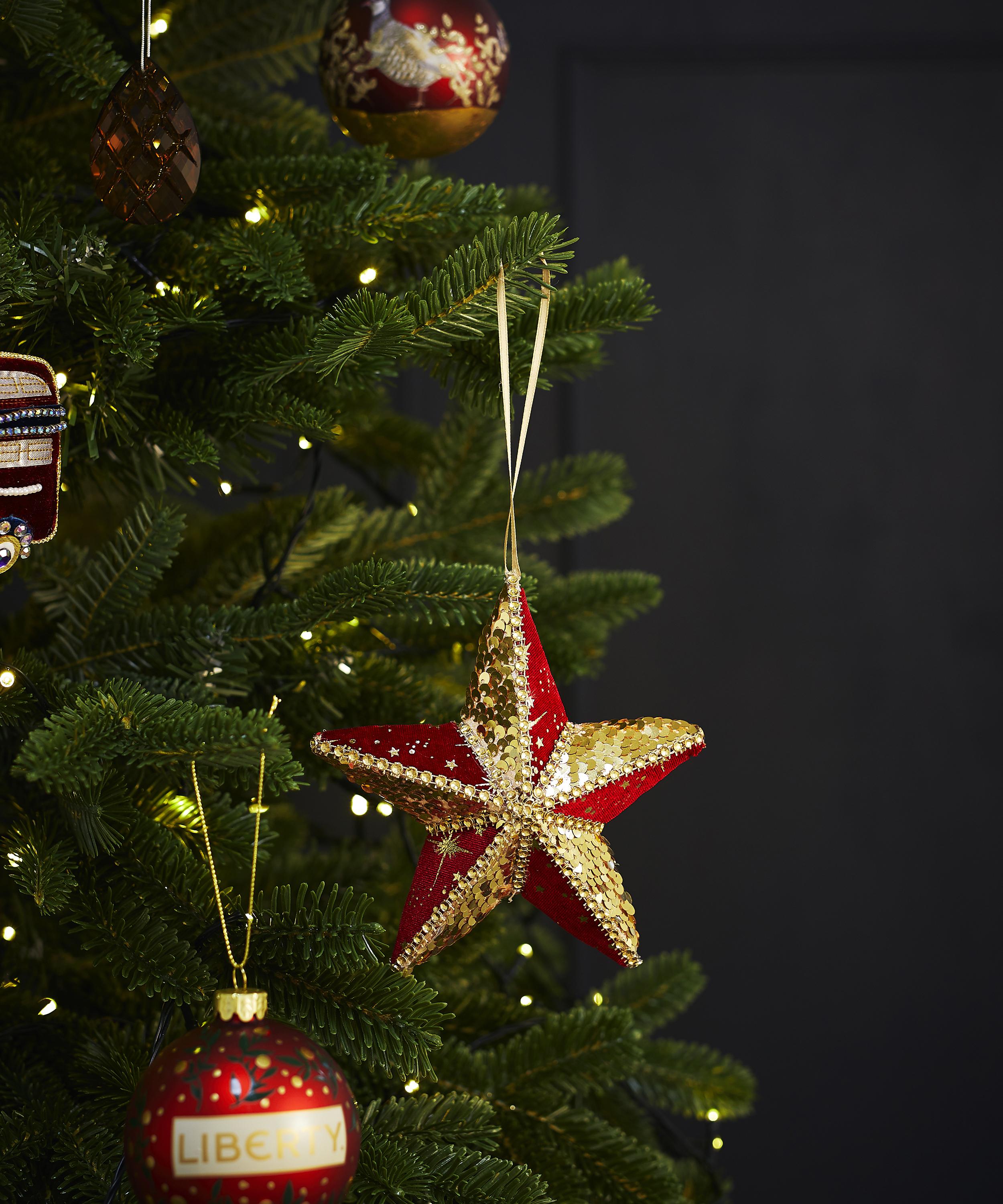 Christmas - Five-Point Star Ornament image number 1