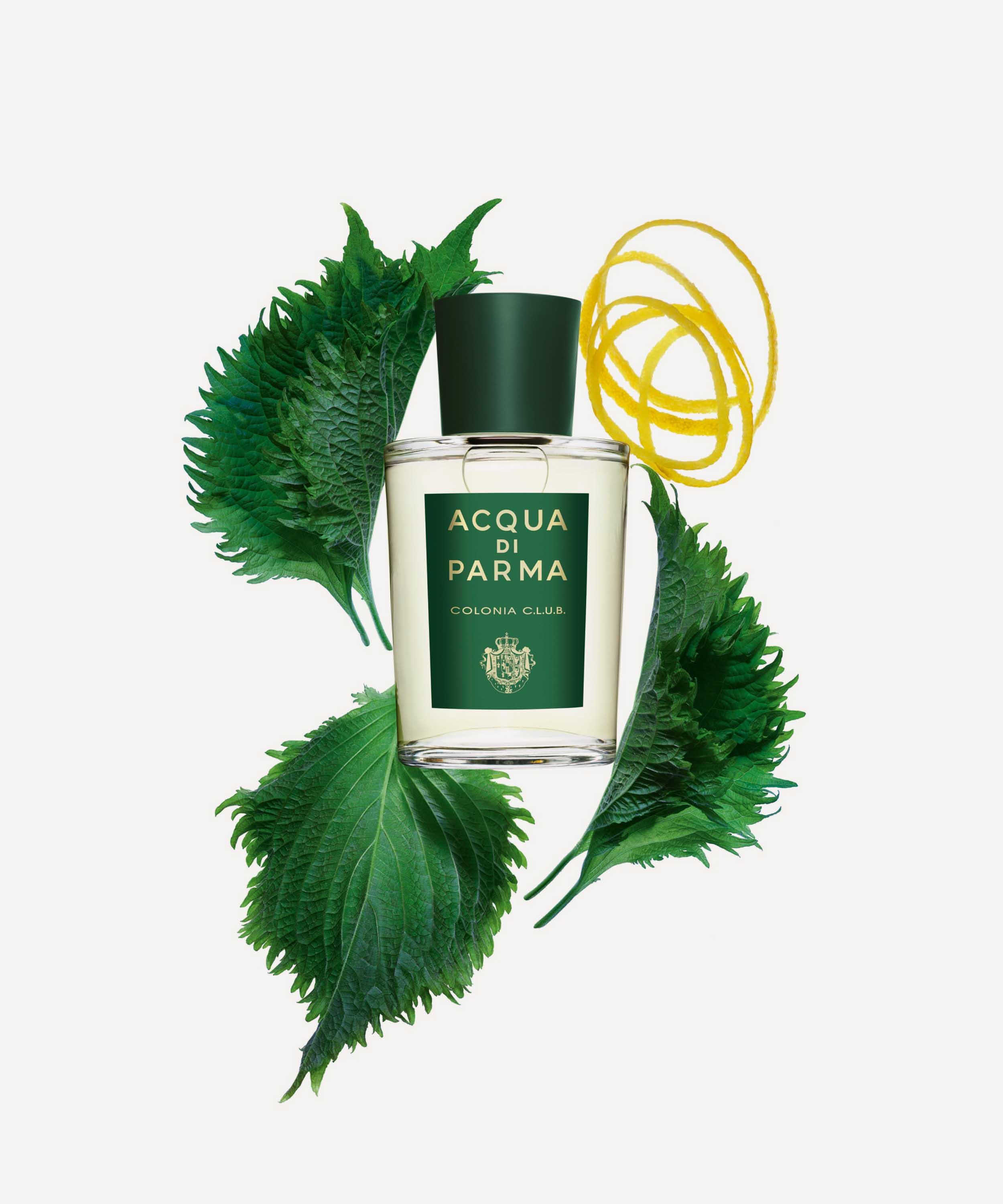 Acqua Di Parma - Colonia C.L.U.B. Eau de Cologne 50ml image number 3