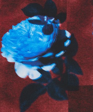 Liberty Fabrics - Moon Rose Silk Satin image number 0
