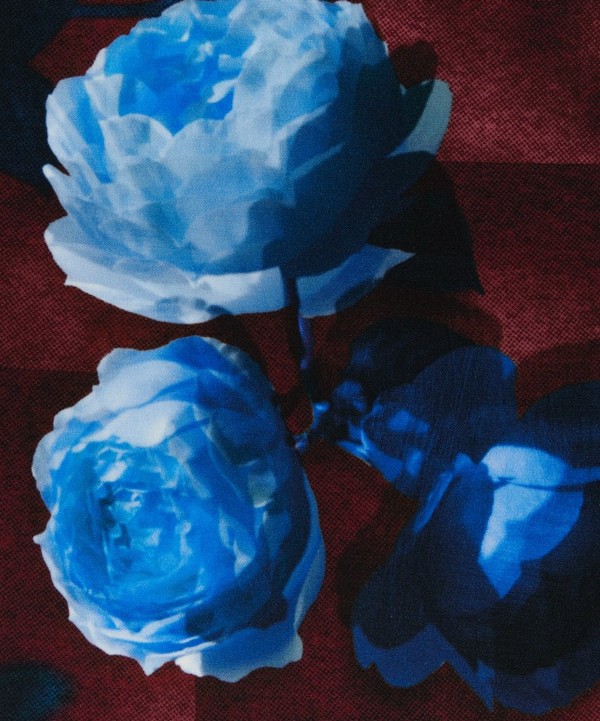 Liberty Fabrics - Moon Rose Crepe de Chine image number null