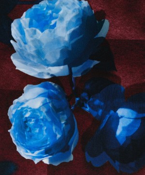 Liberty Fabrics - Moon Rose Crepe de Chine image number 0