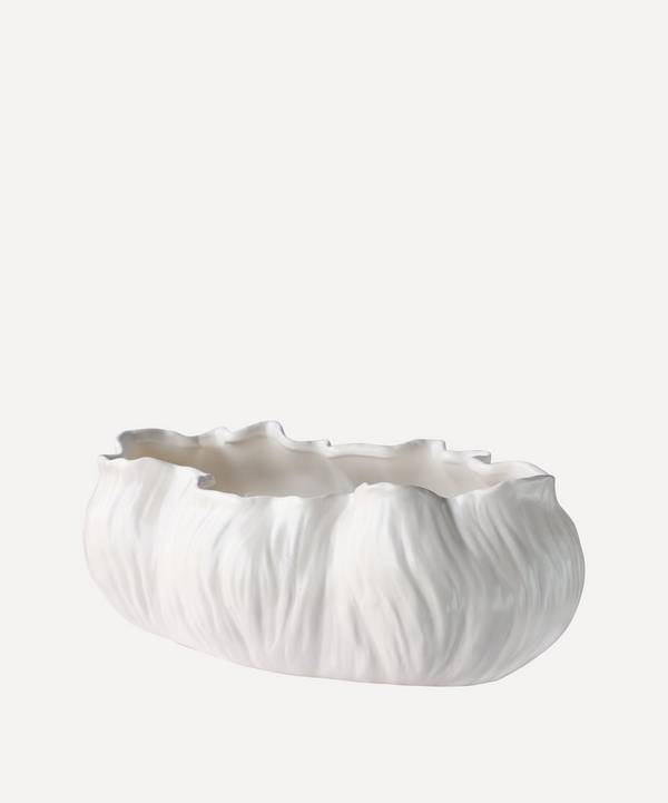 Rockett St George - White Shell Decorative Bowl image number 0