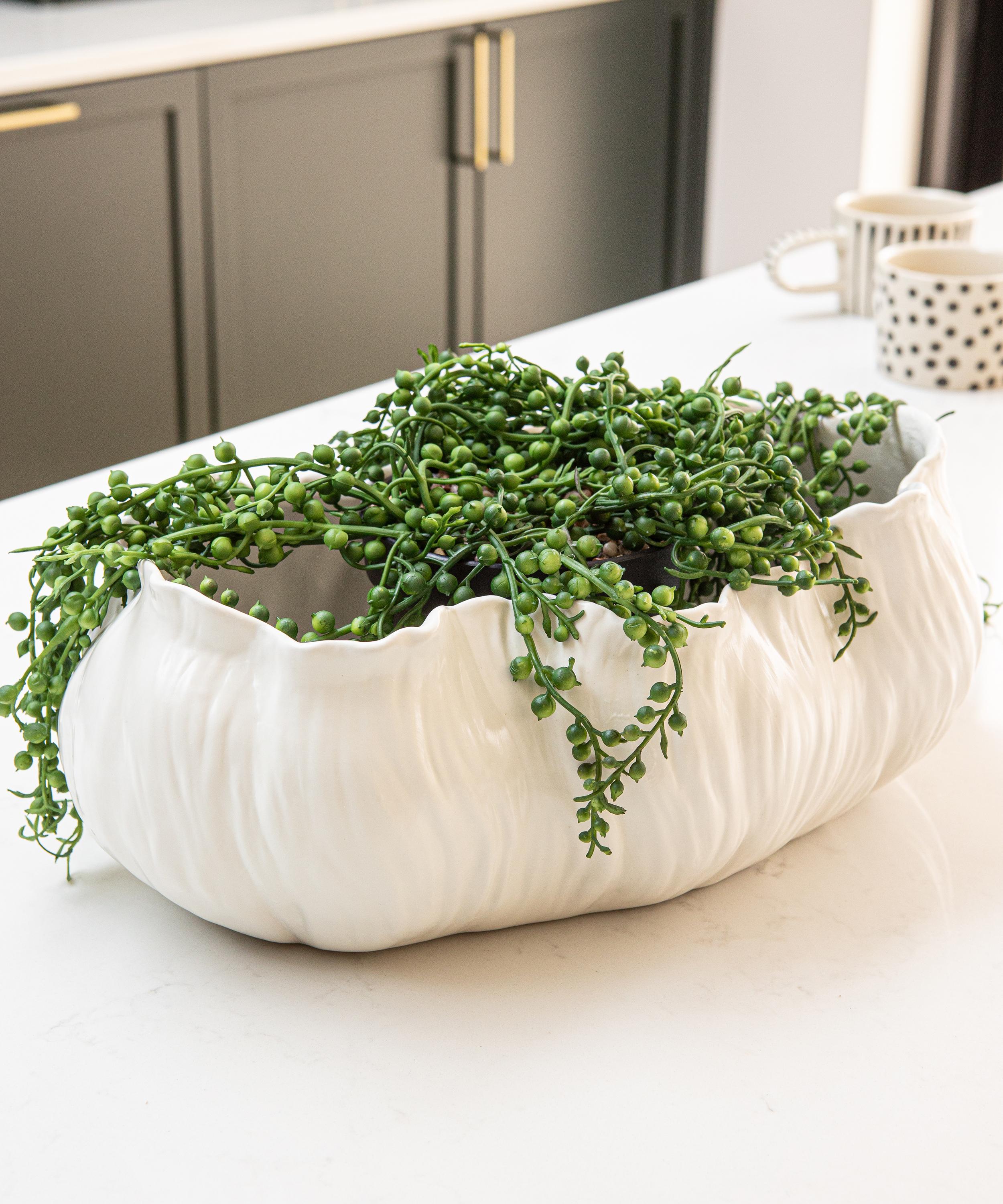 Rockett St George - White Shell Decorative Bowl image number 1