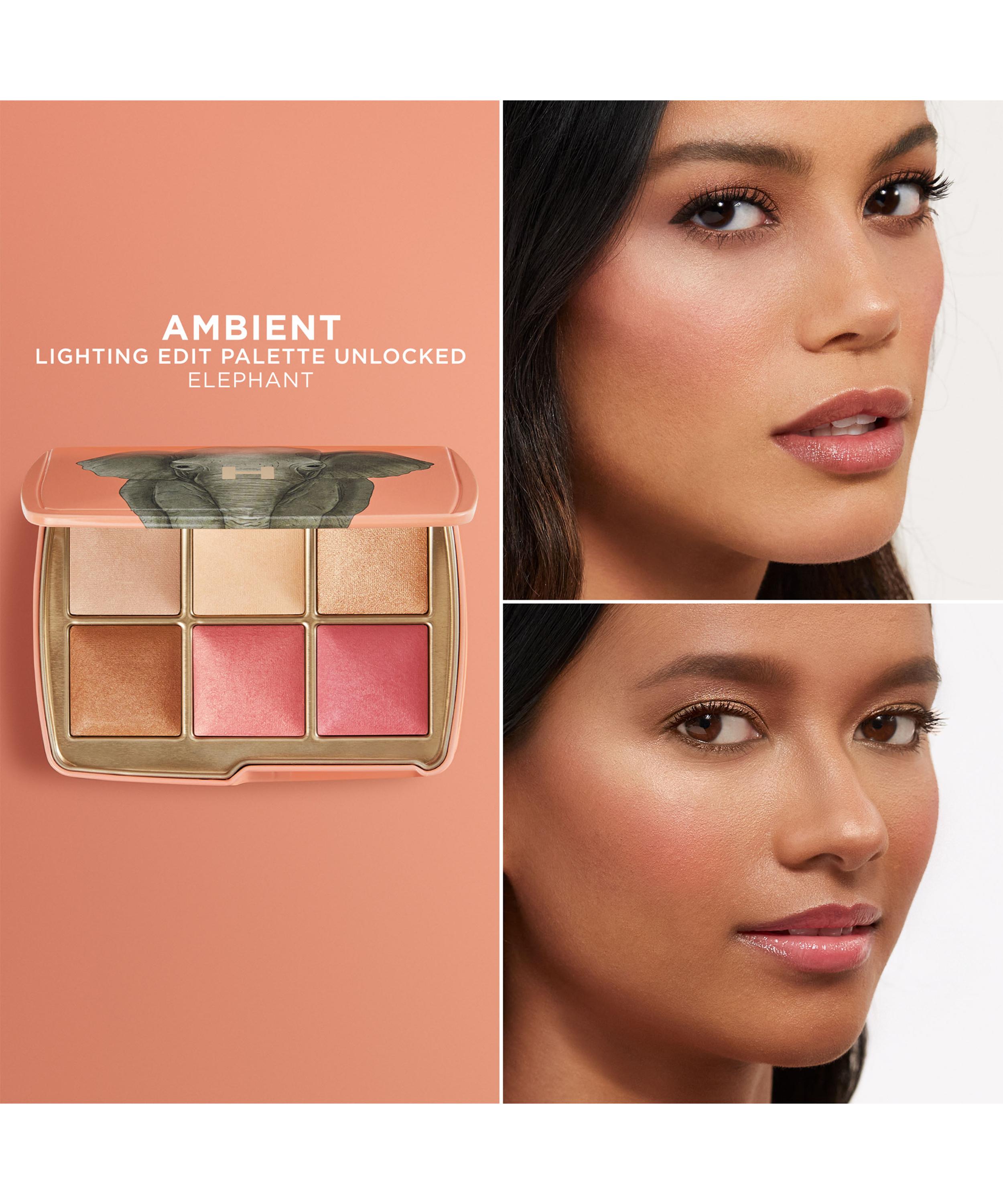 Hourglass - Ambient Lighting Edit Unlocked Elephant image number 5