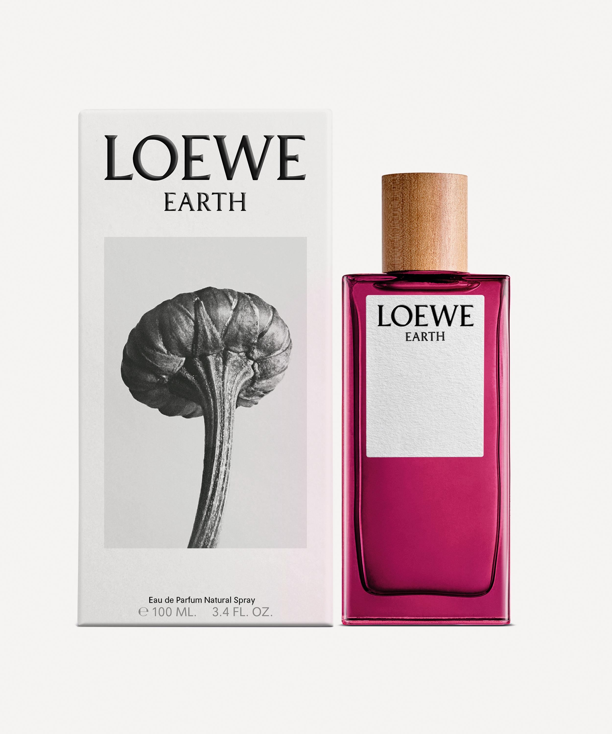 Loewe - Earth Eau de Parfum 100ml image number 1