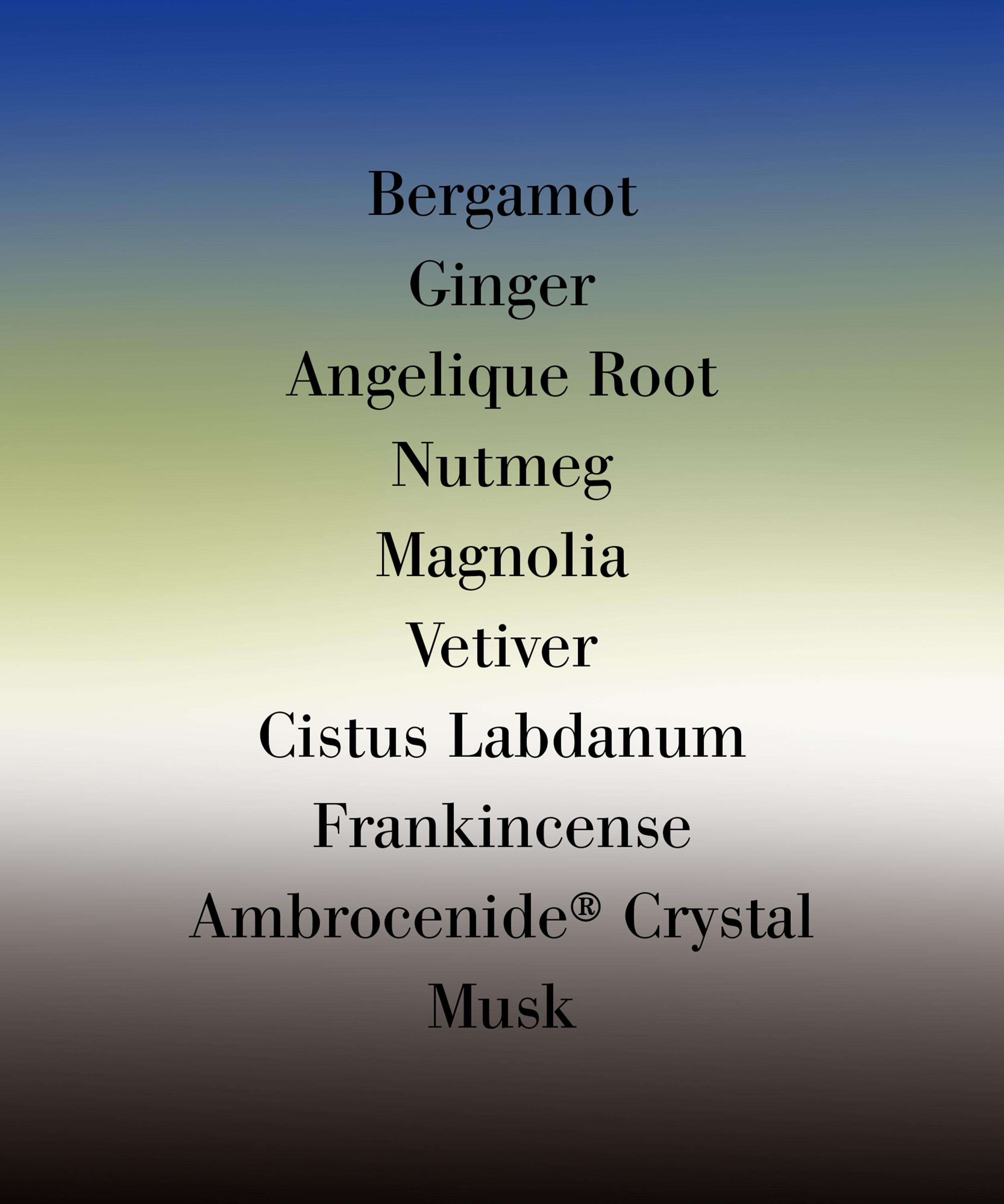 Editions de Parfums Frédéric Malle - Uncut Gem Eau de Parfum 50ml image number 2
