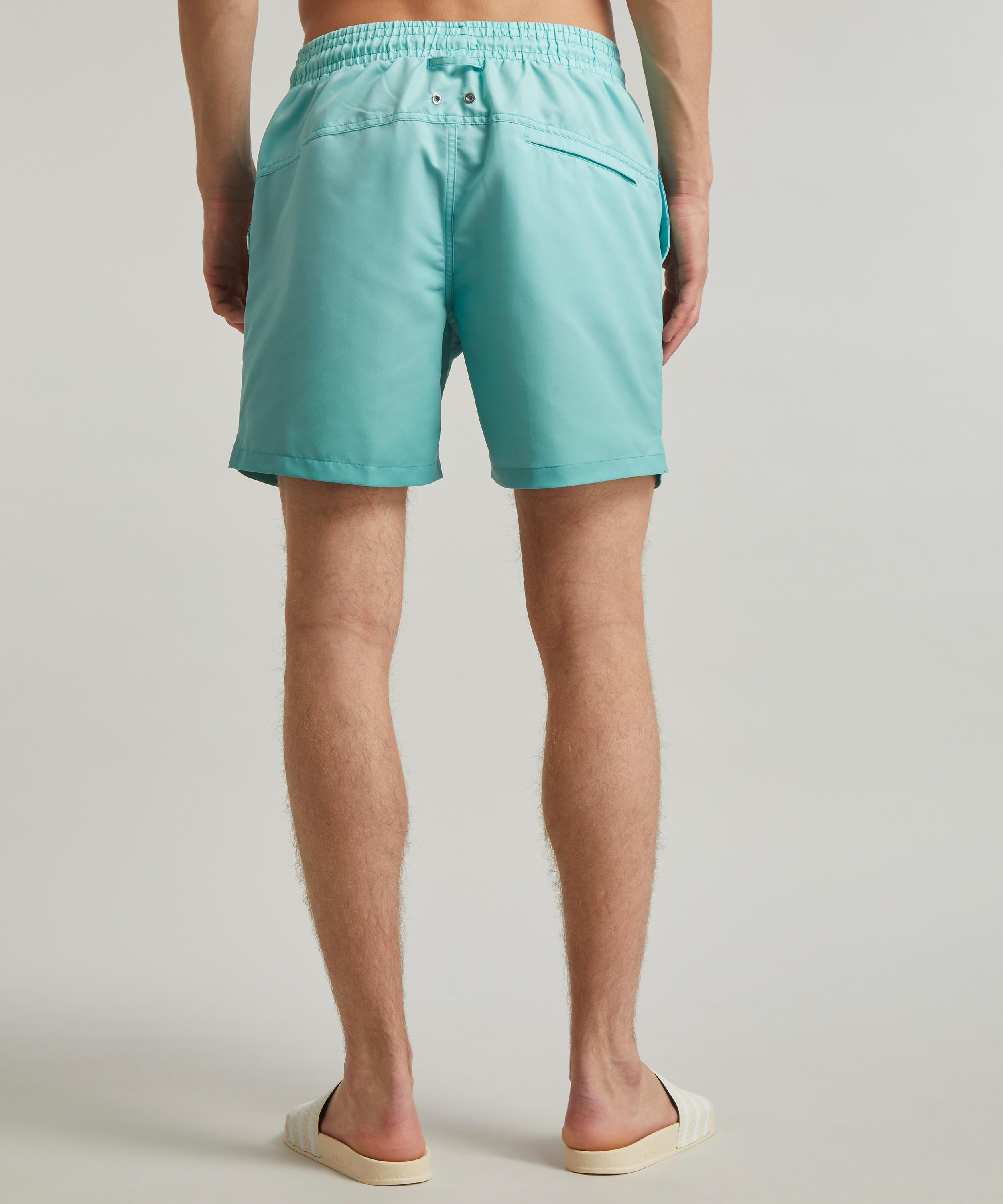Derek Rose - Maui 50 Mint Swim Shorts image number 3