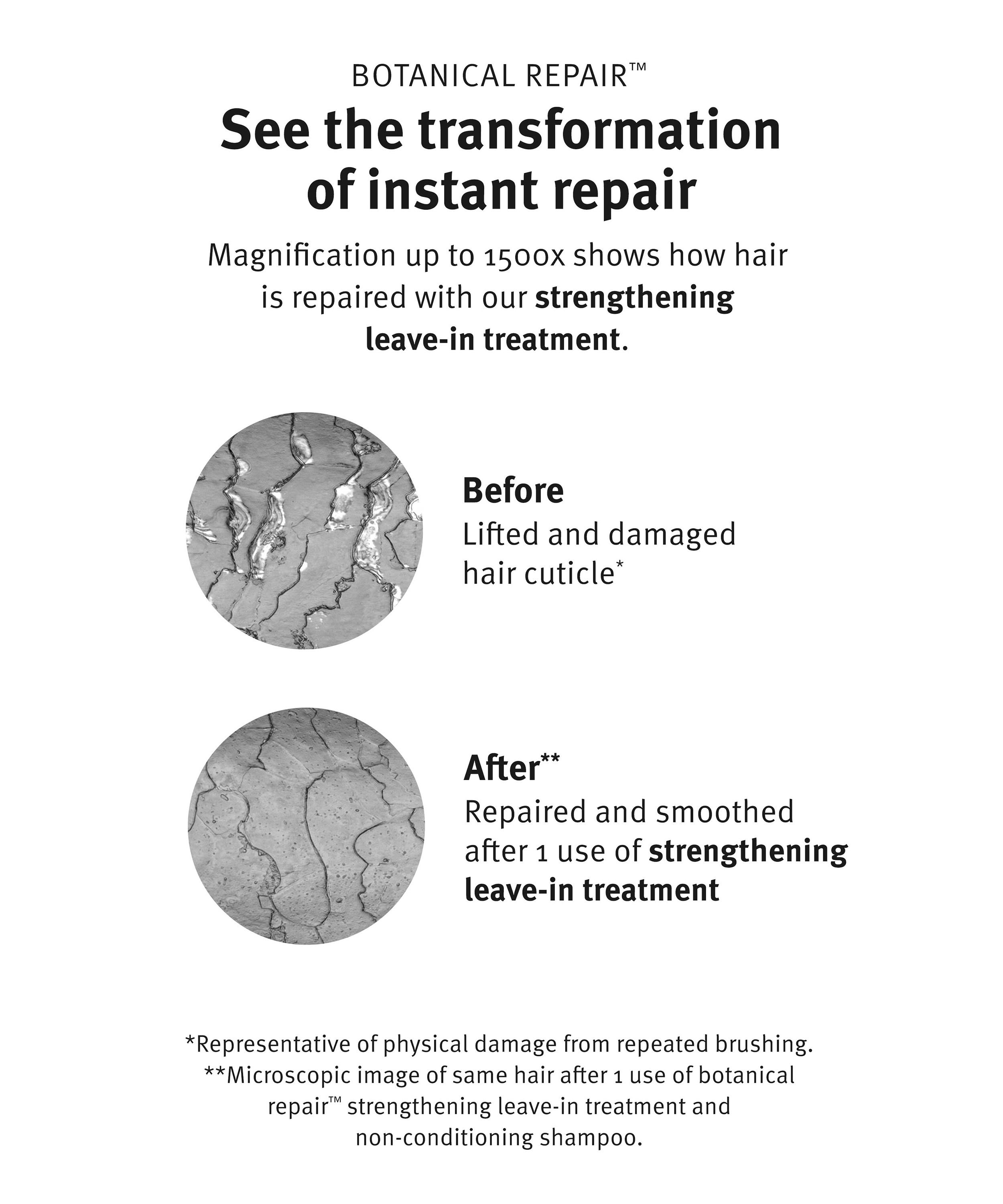 Aveda - x 3.1 Phillip Lim Botanical Repair Collection image number 7