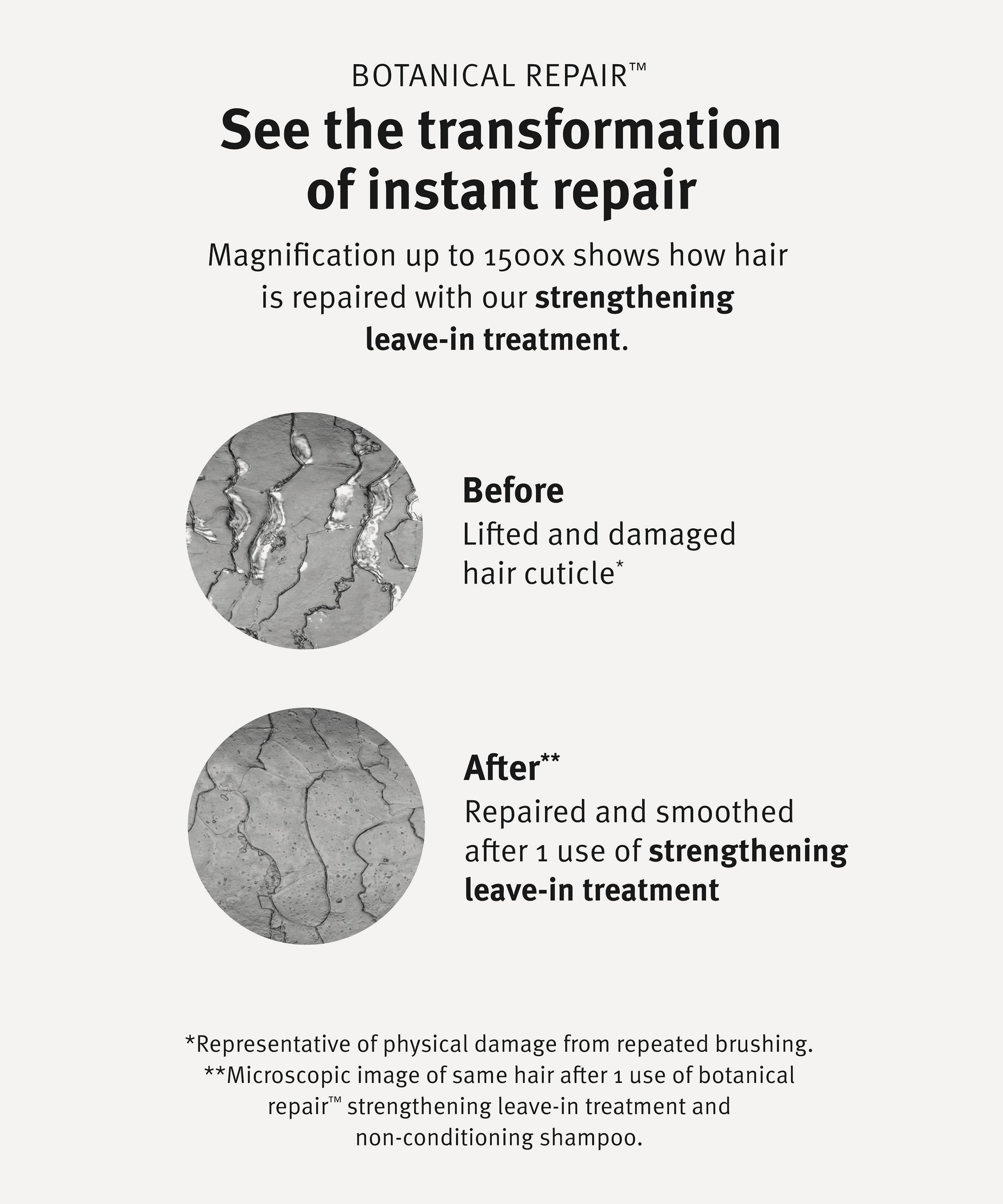 Aveda - Botanical Repair Ornament image number 7