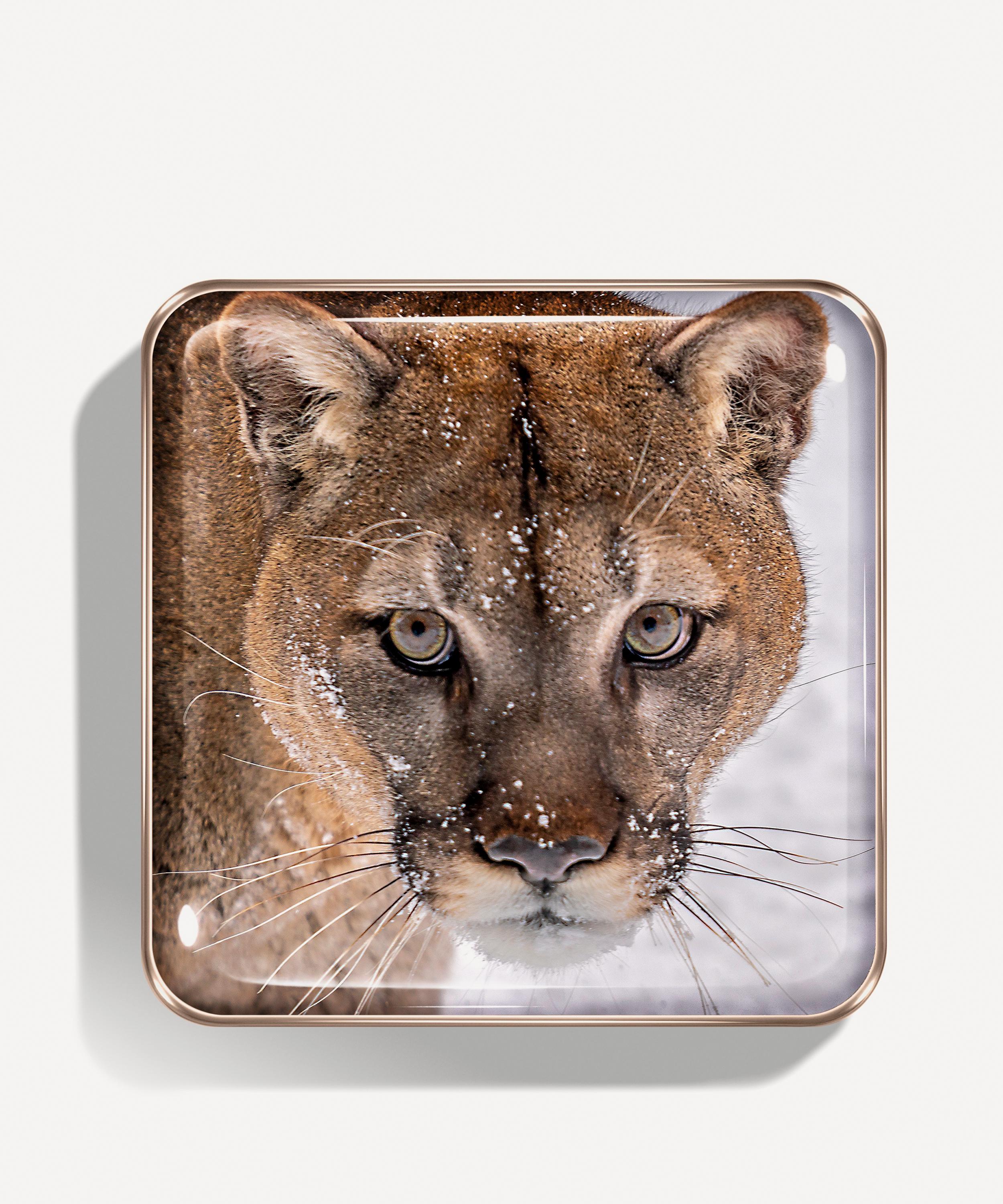 Chantecaille - The Cougar Eye Quartet image number 0