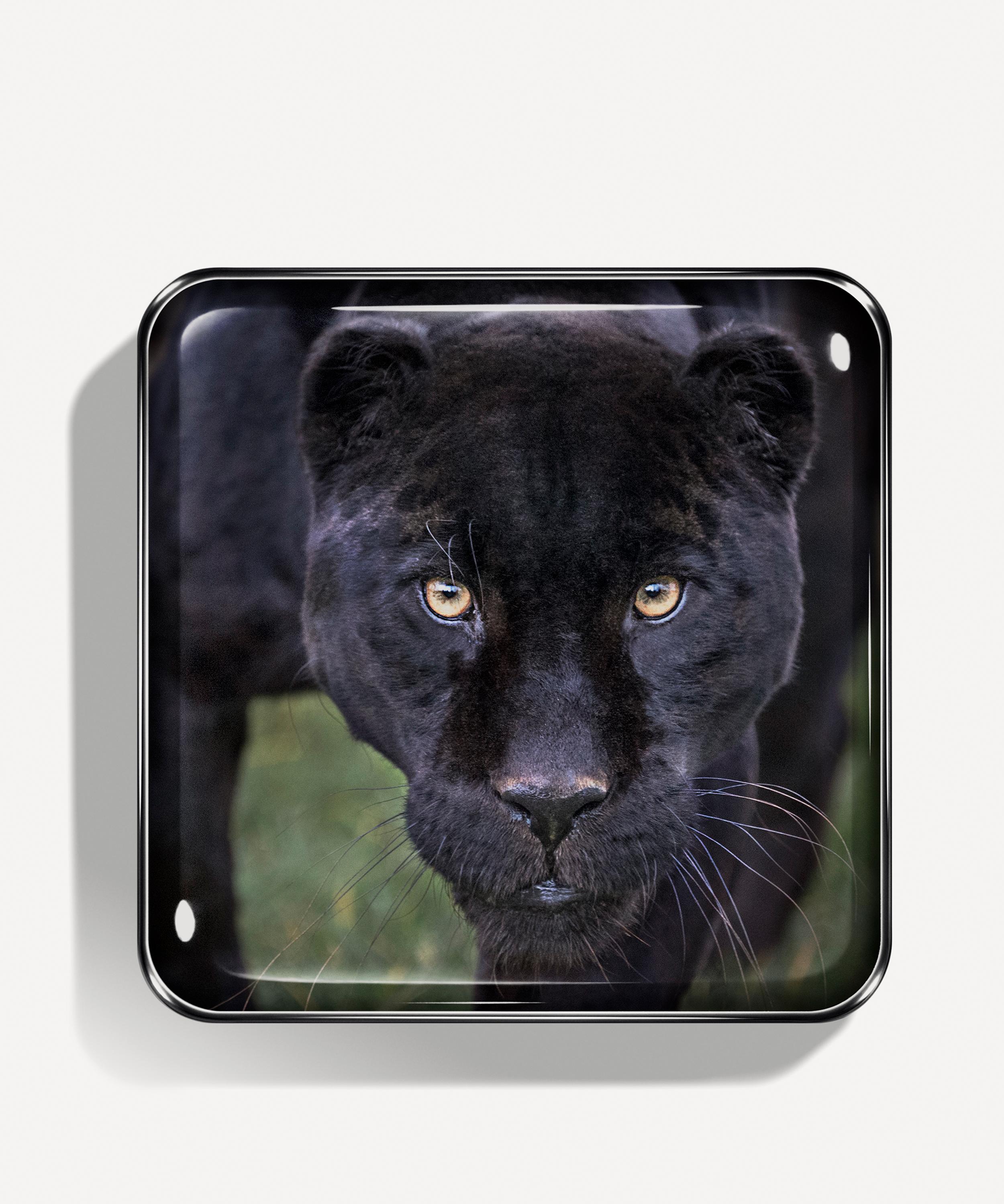 Chantecaille - Black Jaguar Eye Quartet image number 0
