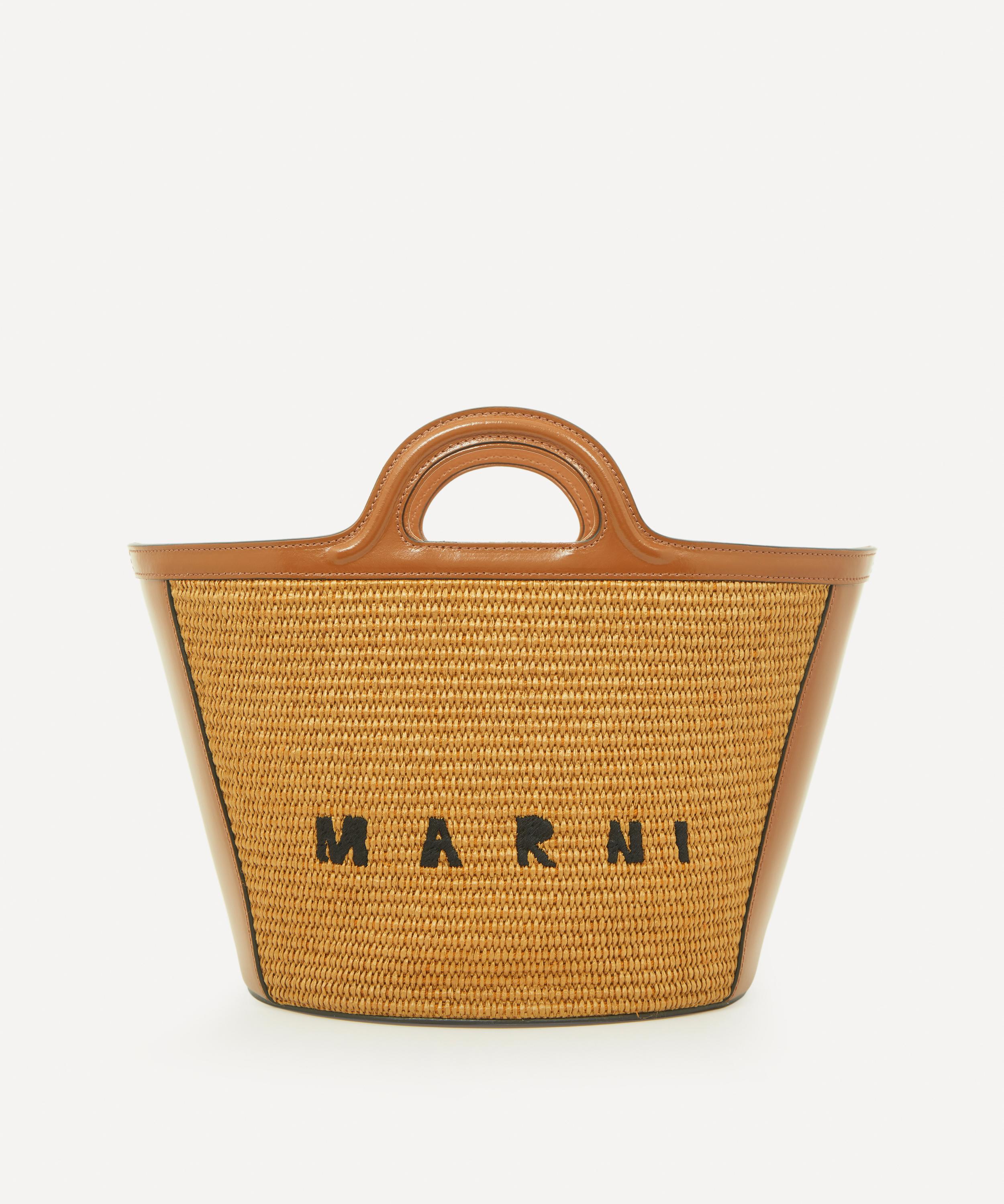 Tropicalia small embroidered raffia and leather tote