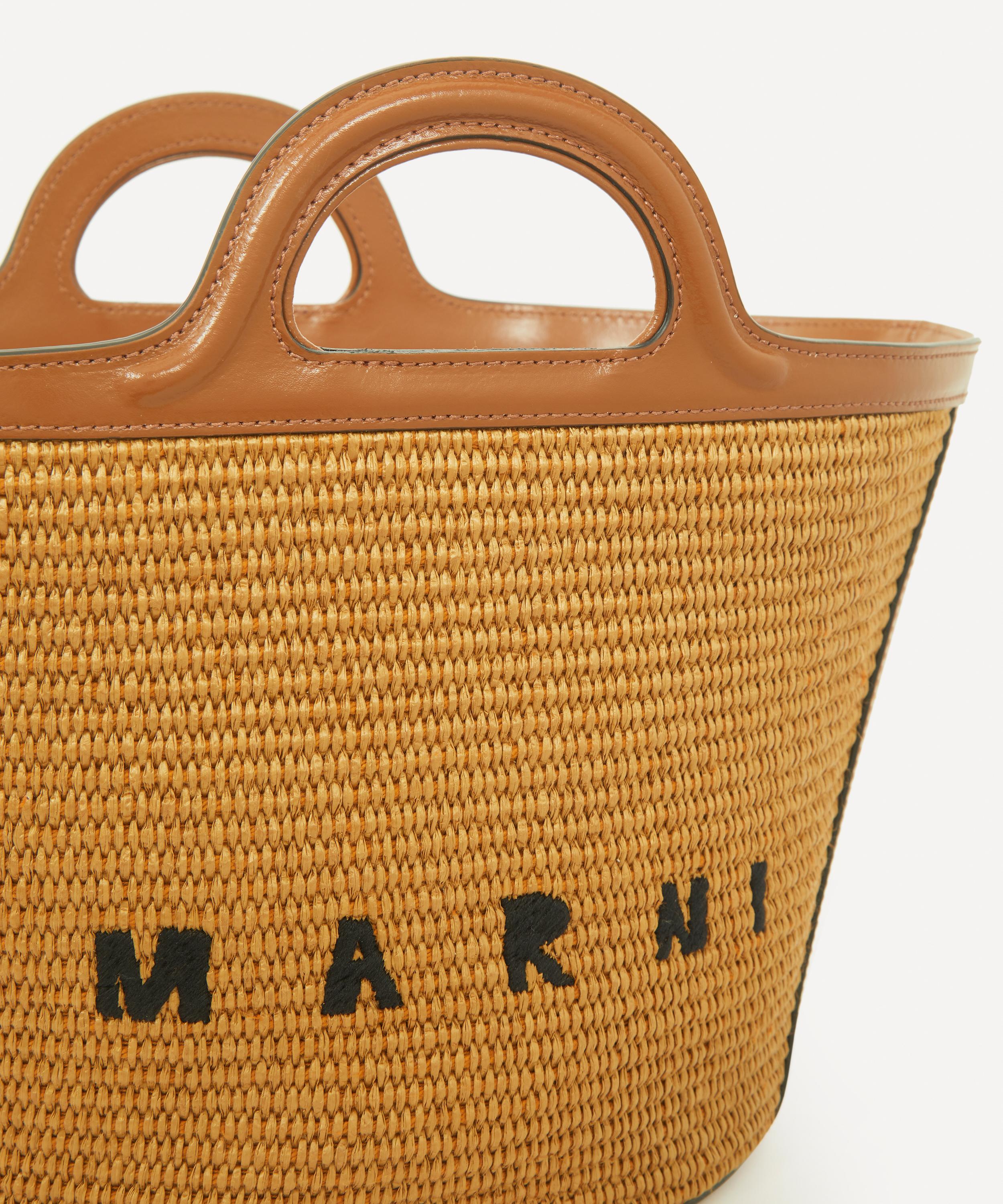 Tropicalia small embroidered raffia and leather tote