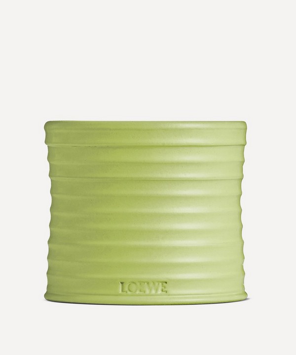 Loewe - Medium Cucumber Candle 610g image number null