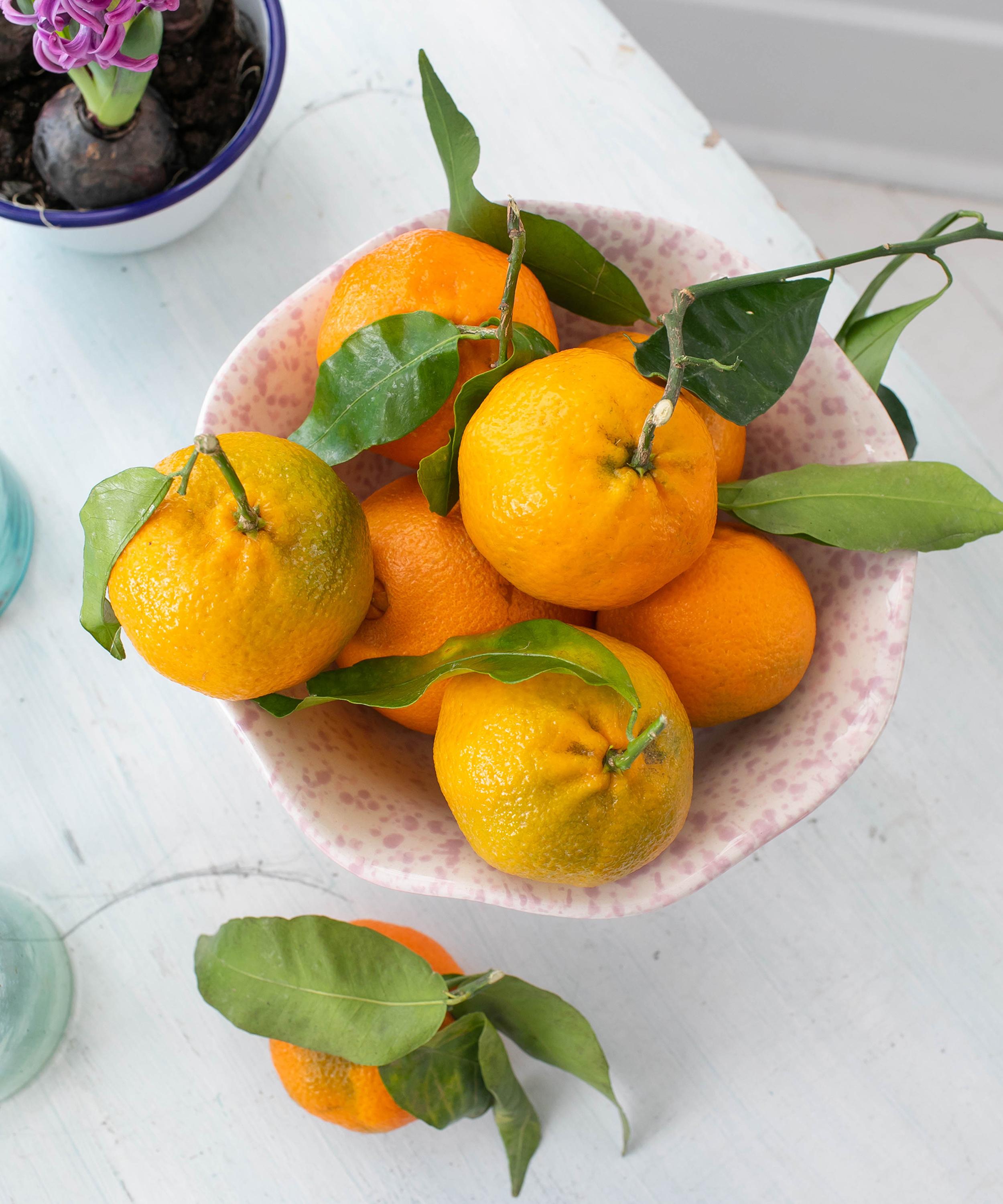 Vaisselle - Tutti Frutti Fruit Bowl image number 4